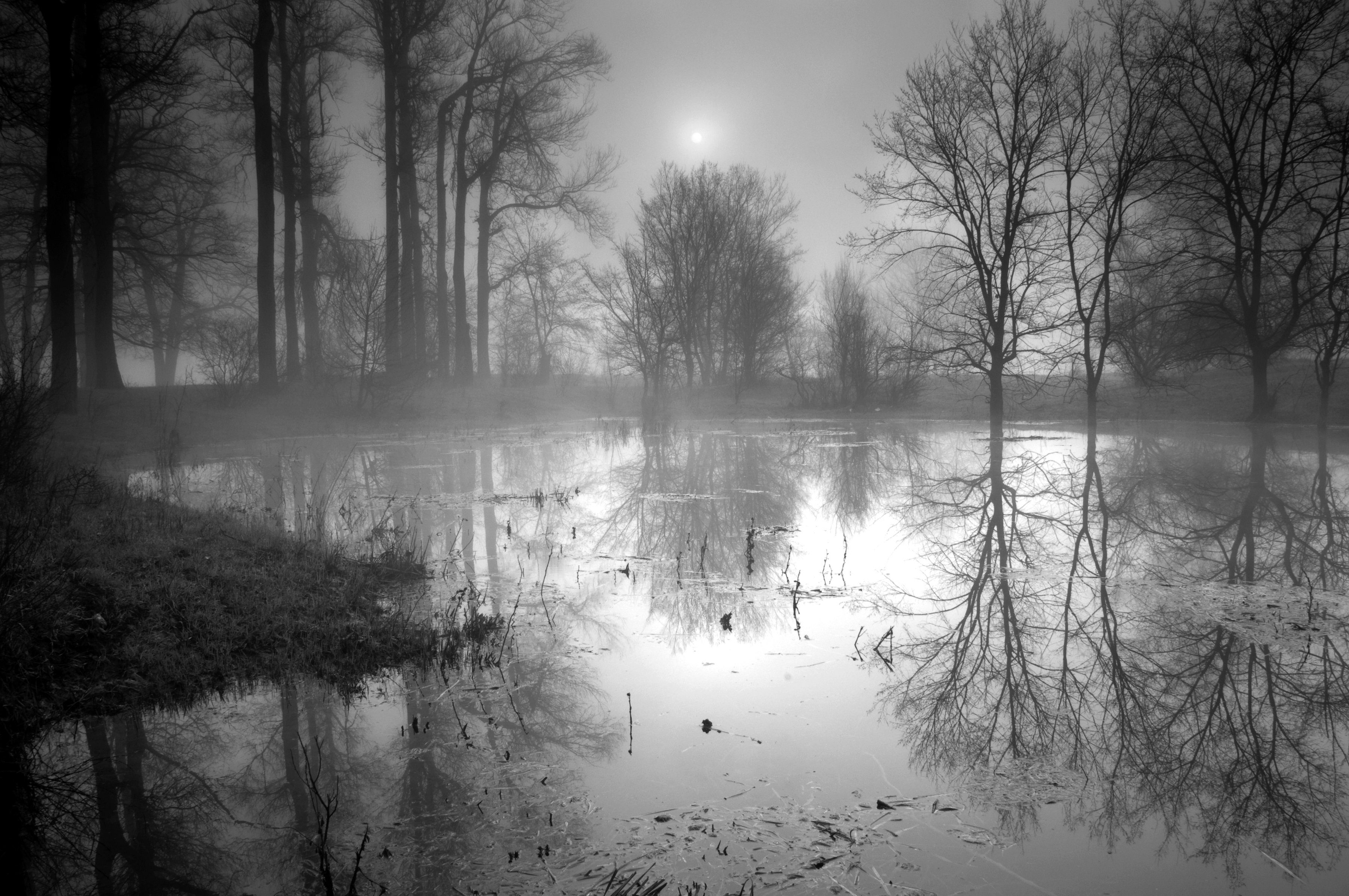 Papermoon Fototapete See im Wald Schwarz & Weiß