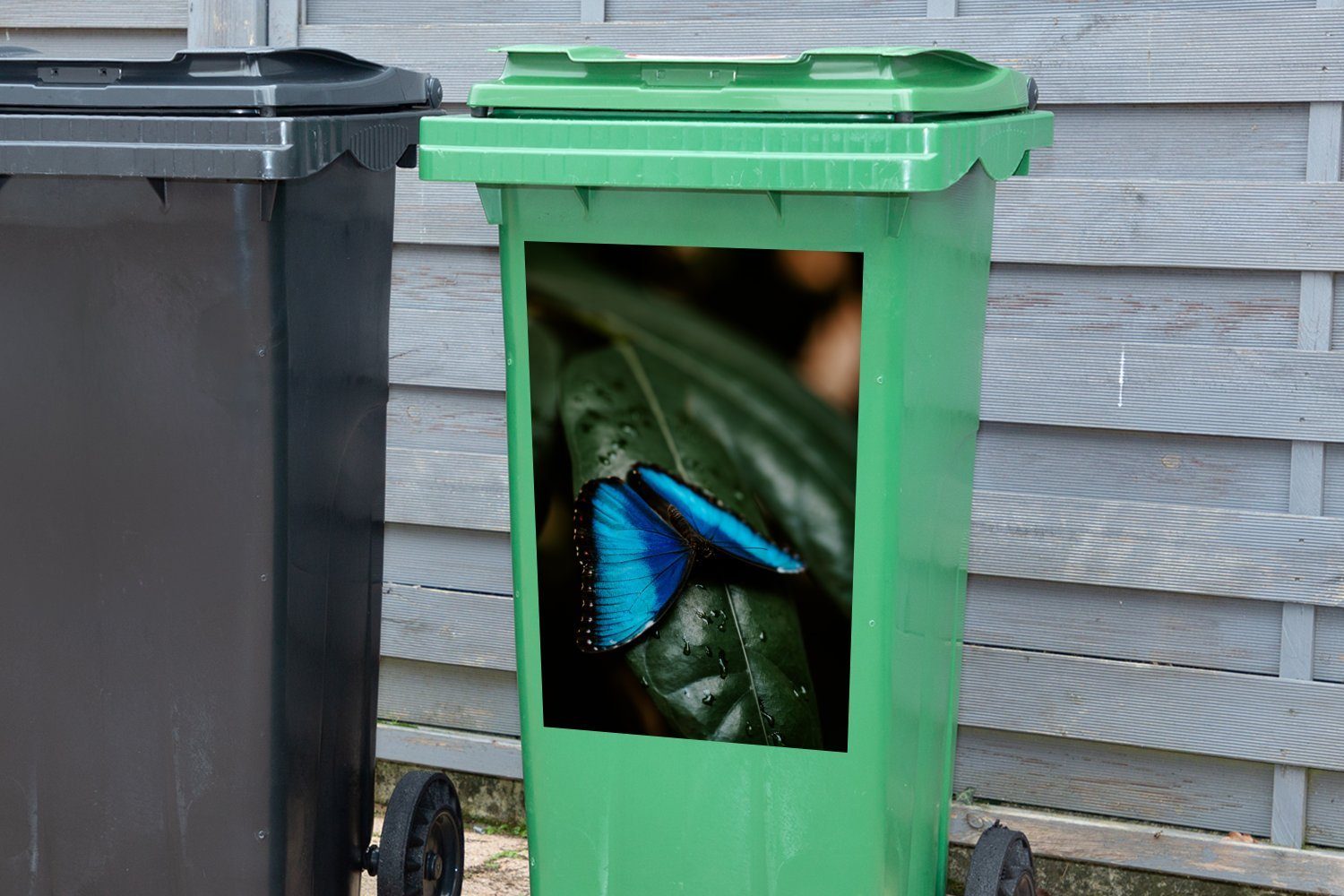 blauen Darstellung Mülltonne, auf St), eines Mülleimer-aufkleber, Abstrakte (1 Sticker, Schmetterlings einem Abfalbehälter Container, Wandsticker MuchoWow grünen