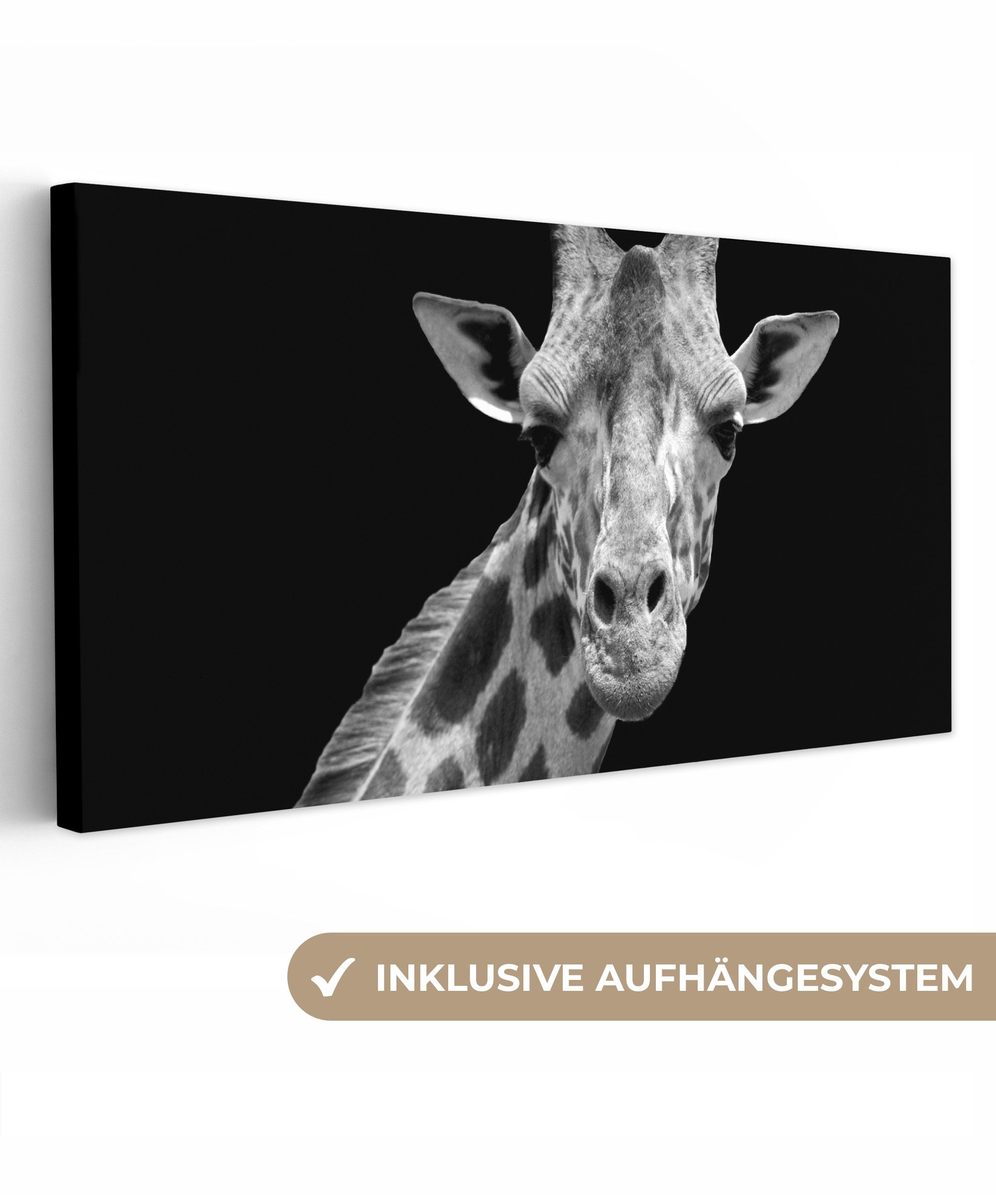 OneMillionCanvasses® Leinwandbild Panorama Giraffe - Wildtiere günstig online kaufen