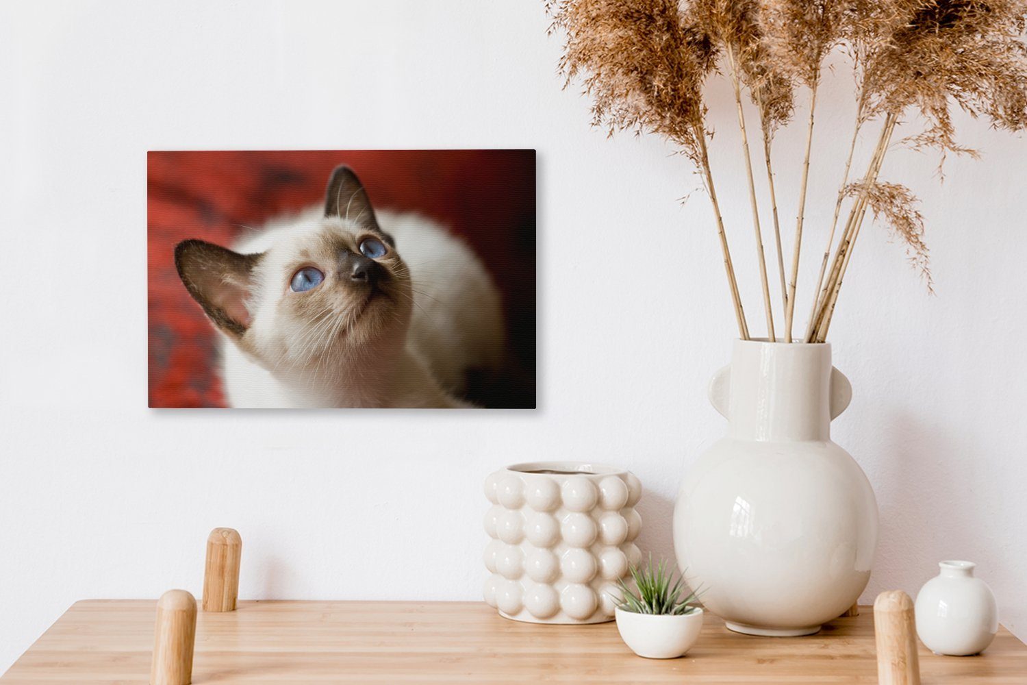 Wandbild Junge Wanddeko, Siamkatze schaut Leinwandbilder, auf, Leinwandbild cm St), Aufhängefertig, OneMillionCanvasses® (1 30x20