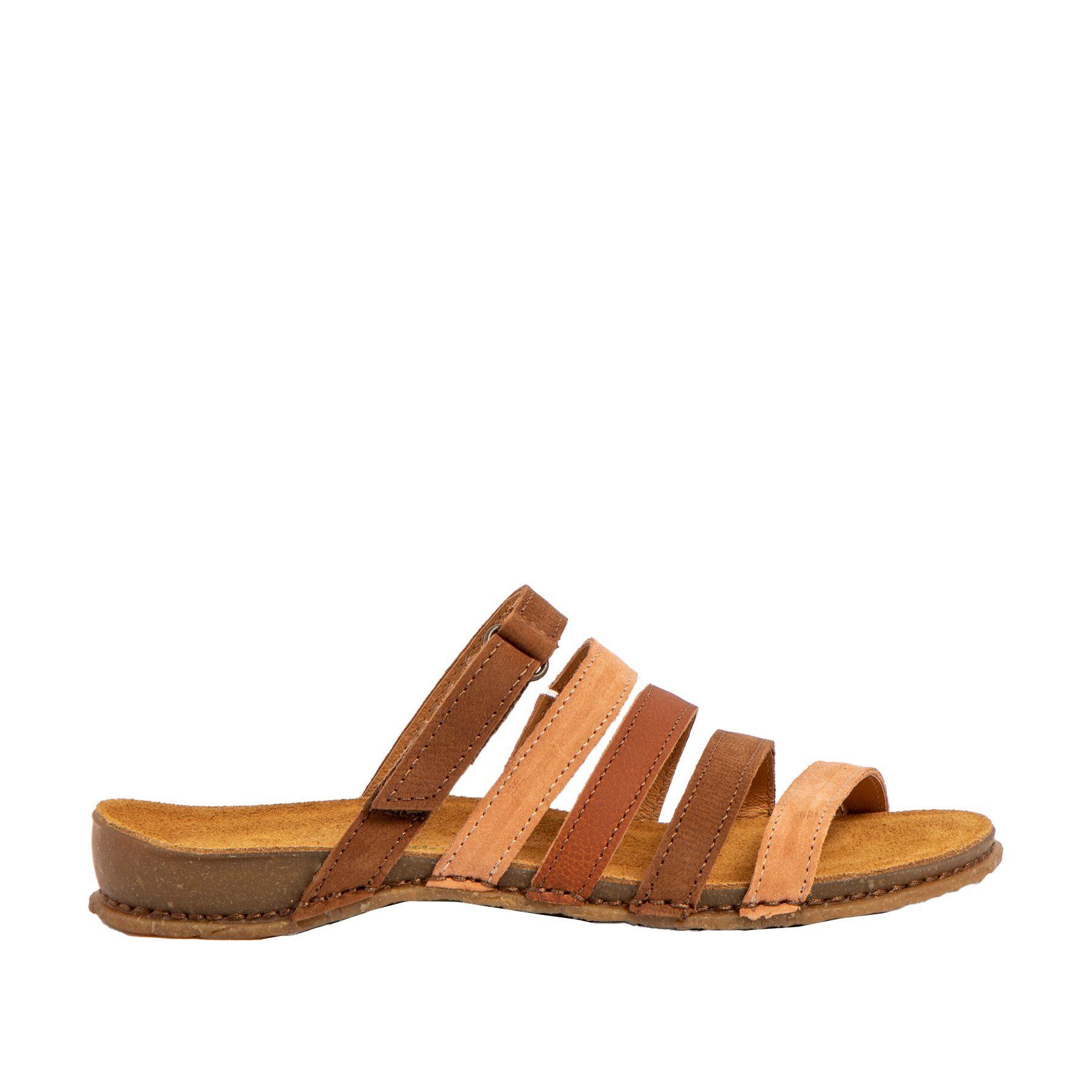 El Naturalista Ballerina