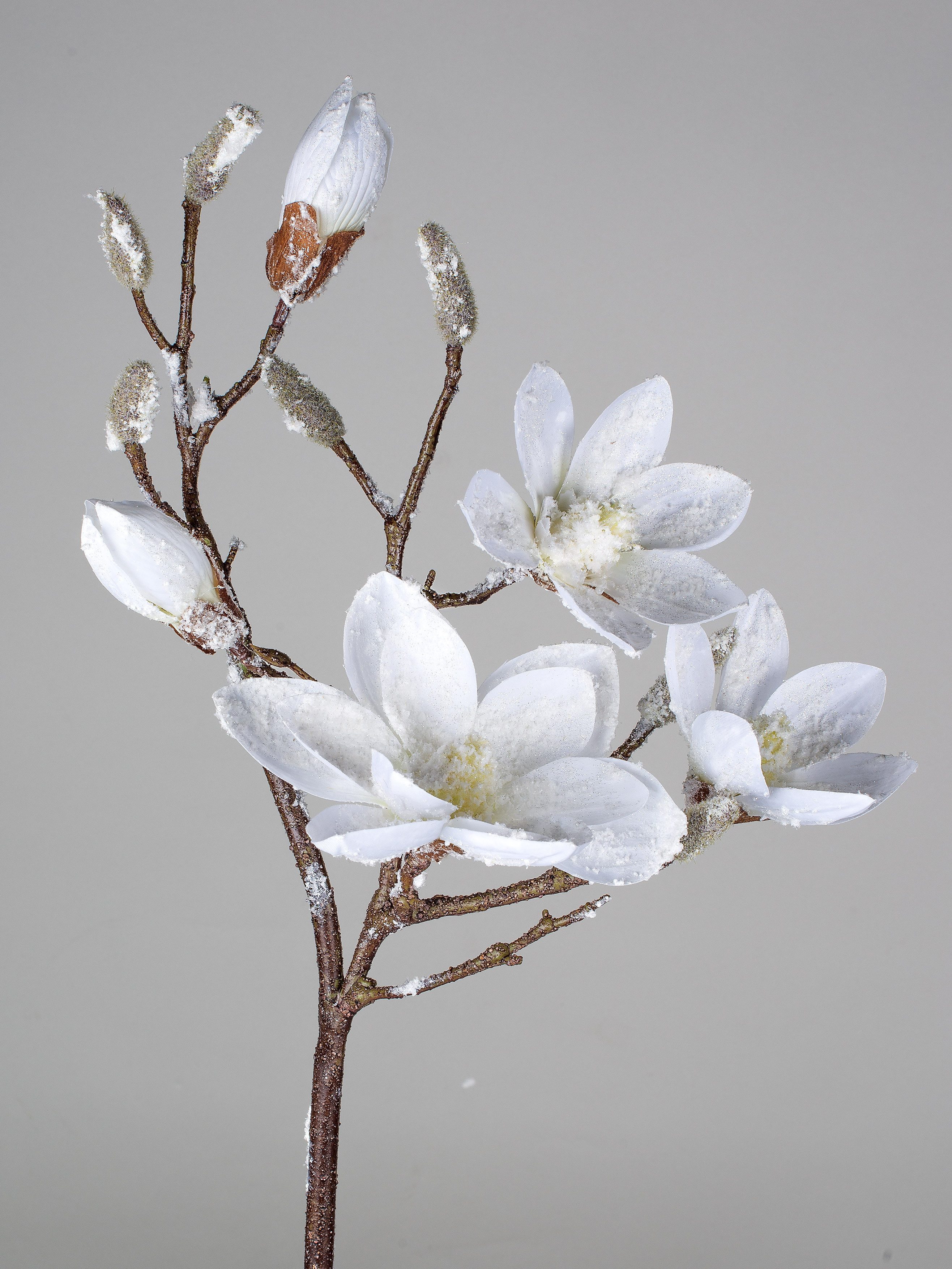 Kunstblume, formano, Höhe 88 cm, Farbe: Weiß, Motiv: Magnolie günstig online kaufen