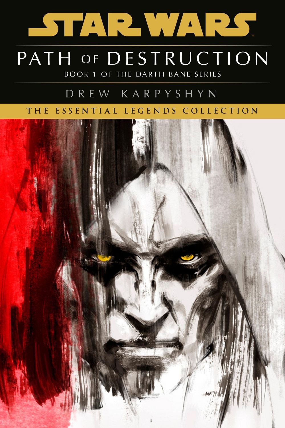 Path of Destruction / Drew Karpyshyn