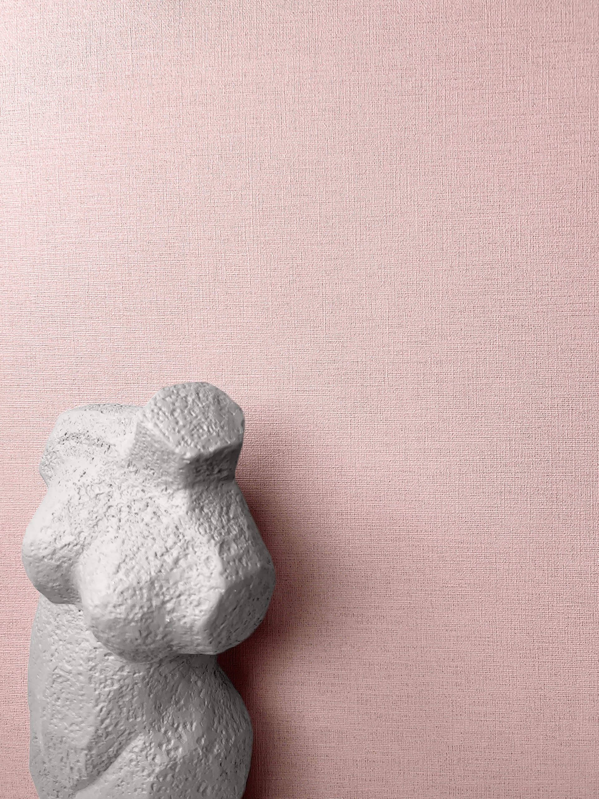 Newroom Vliestapete, Rosa Tapete Uni Unifarbe günstig online kaufen