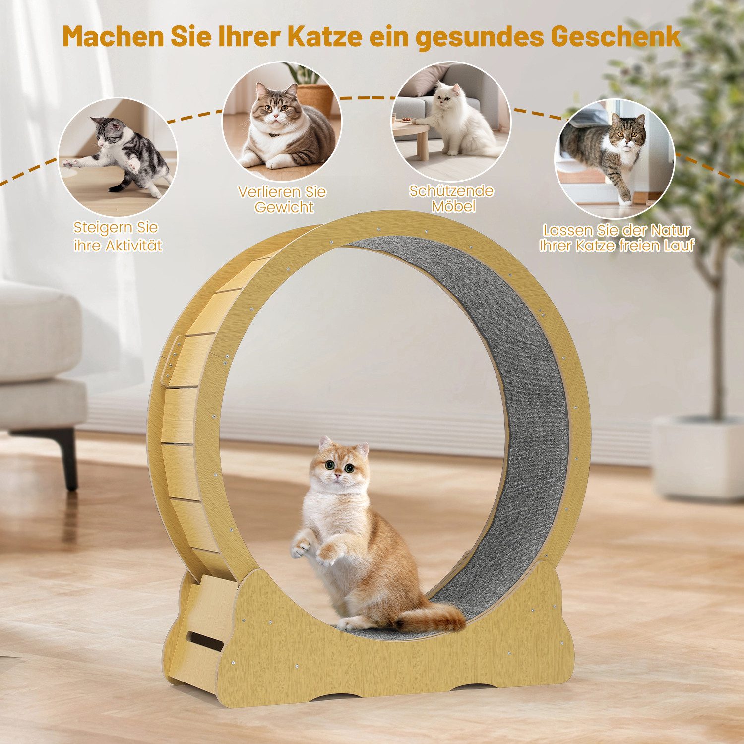 oyajia Tier-Intelligenzspielzeug Katzenlaufrad, MDF, MDF, Innendurchmesser günstig online kaufen