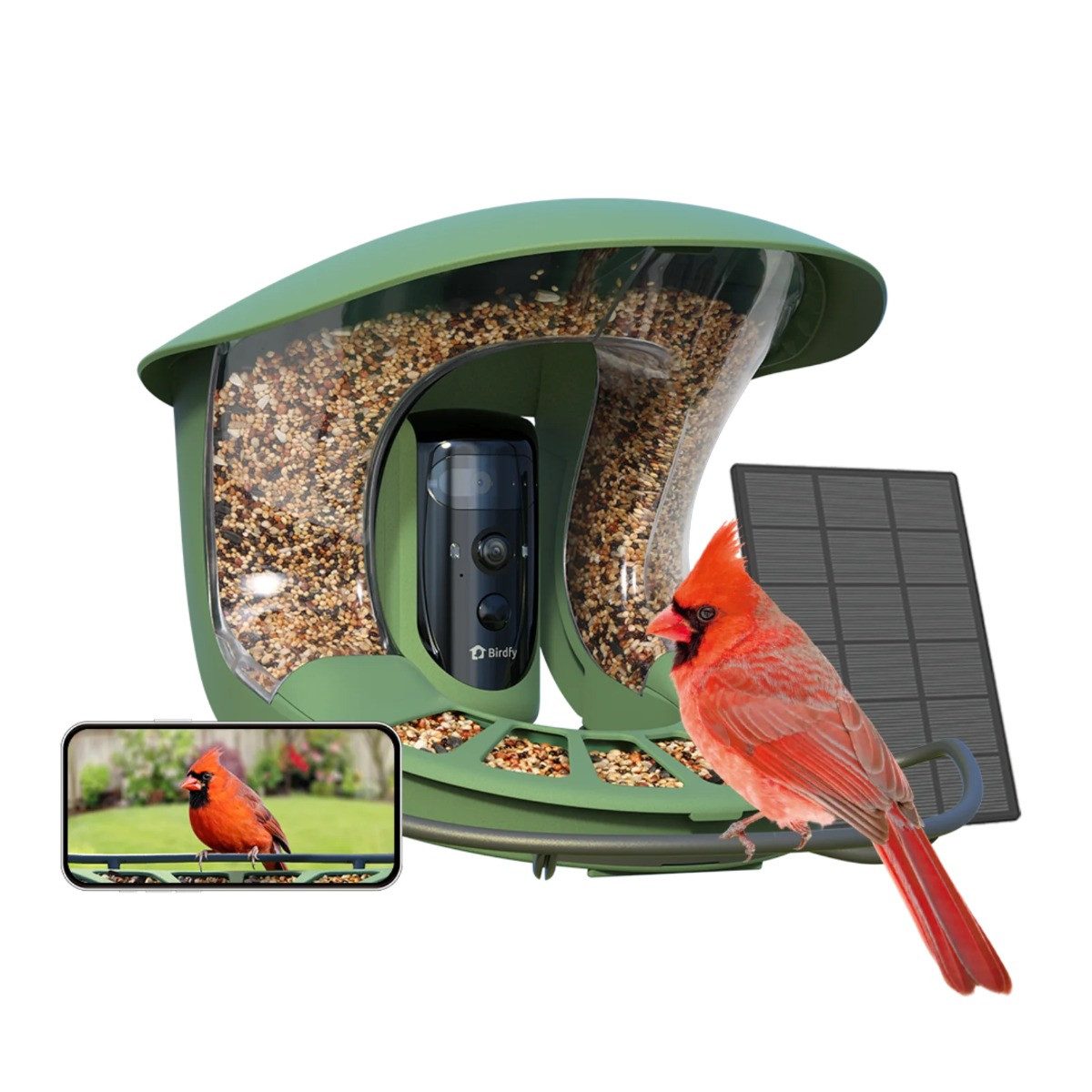Birdfy Vogelhaus Feeder Pro 2 Lite, zwei Kameras, KI-Erkennung, Solar