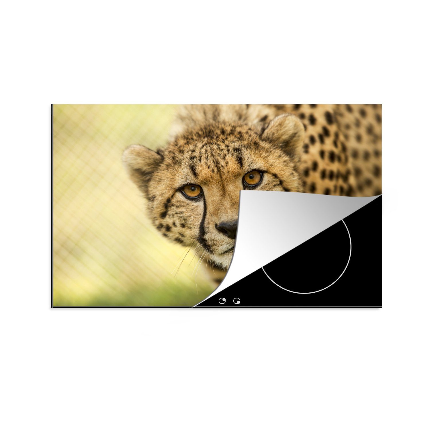 MuchoWow Herdblende-/Abdeckplatte Leopard - Gepard - Tier, Vinyl, (1 tlg), 81x52 cm, Induktionskochfeld Schutz für die küche, Ceranfeldabdeckung