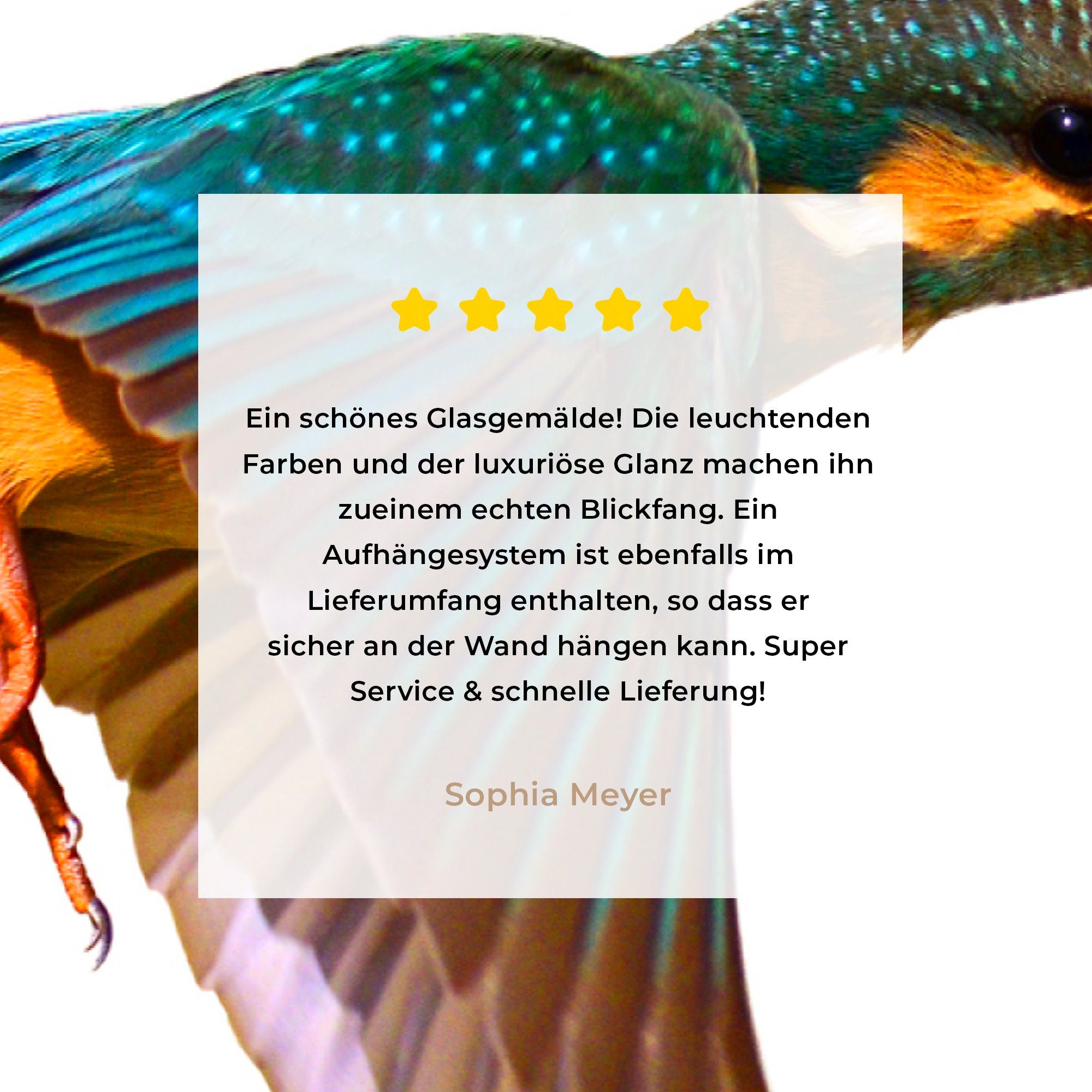 Wohnzimmer Acrylglasbild Eisvogel Fliegen Schlafzimmer & - - (1 Acrylglasbilder Tiere, St), MuchoWow