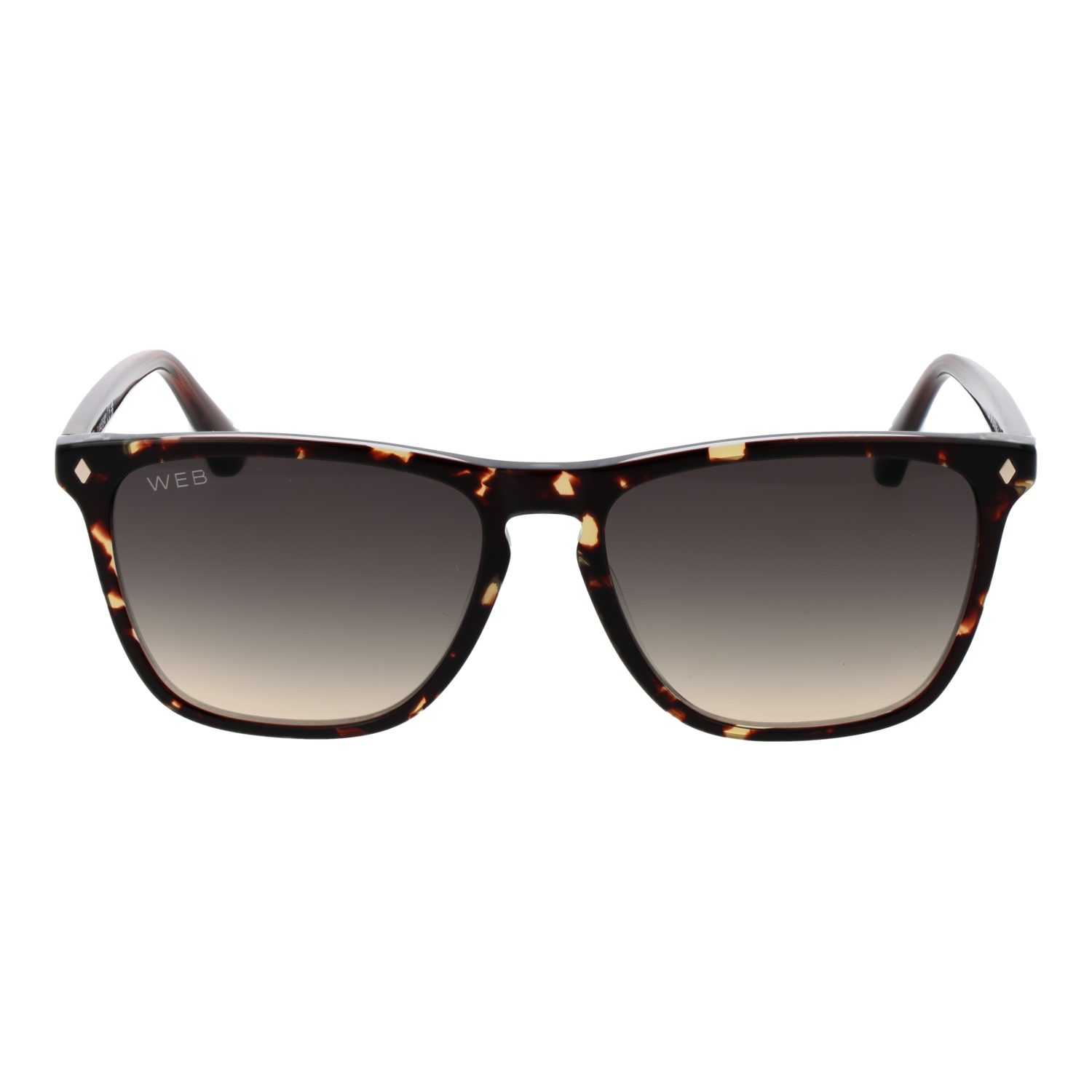 Web Sonnenbrille WE0363 5556B