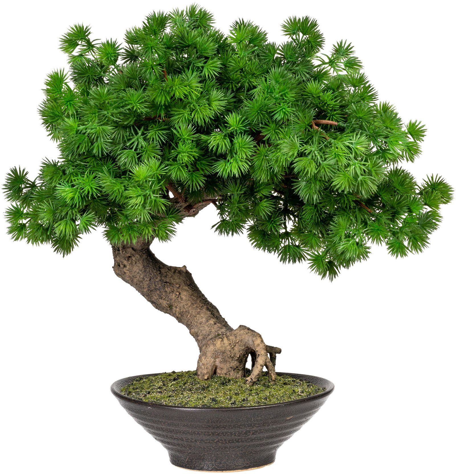 Kunstbonsai »Perham« Bonsai Lärche, Home affaire, Höhe 37 cm, Kunstpflanze, im Topf-Otto