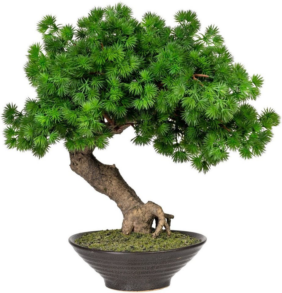 Kunstbonsai Perham Bonsai Lärche, Home affaire, Höhe 37 cm, Kunstpflanze,  im Topf