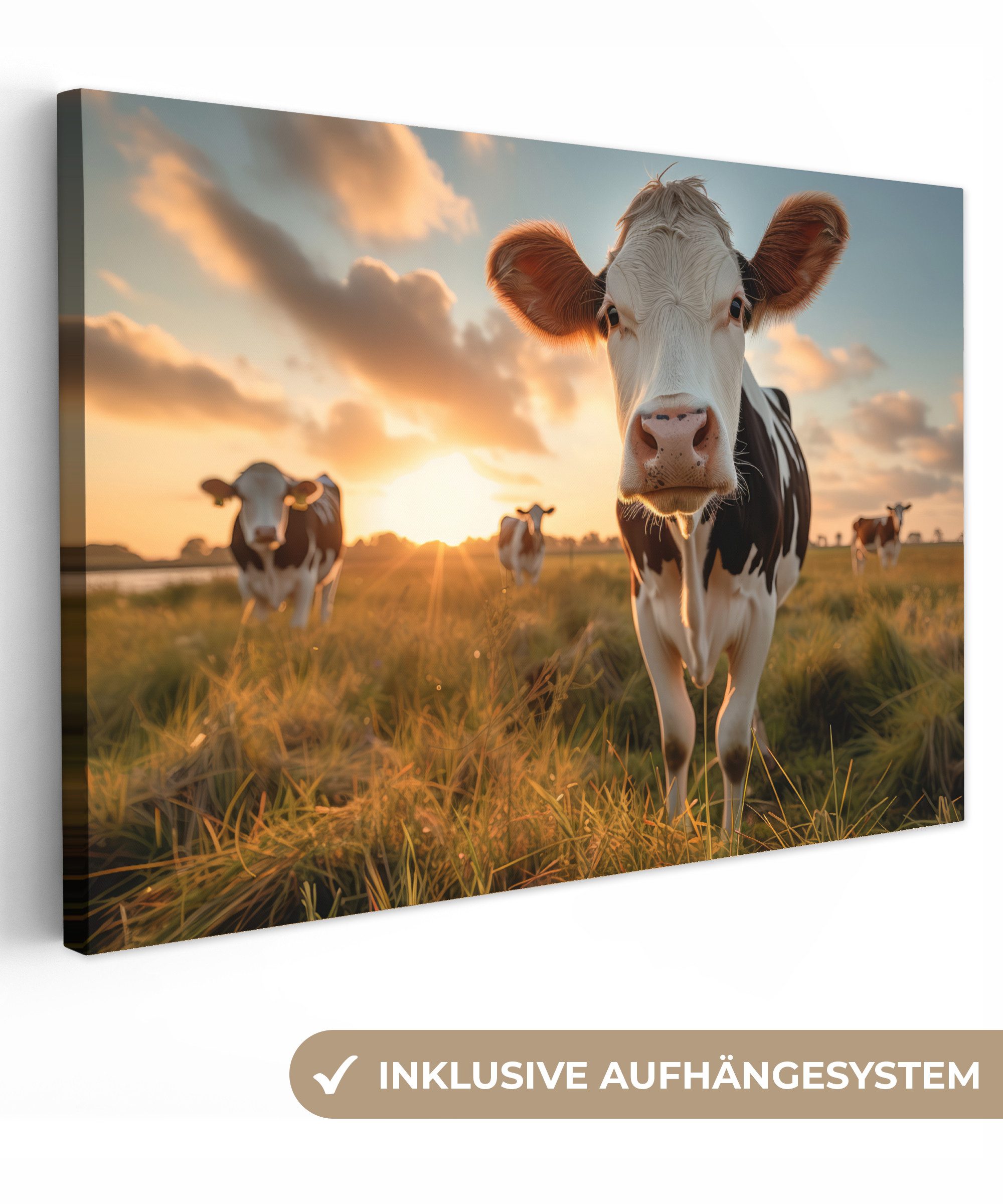 OneMillionCanvasses® Leinwandbild Kuh - Wiese - Tierportrait - Natur - Kühe günstig online kaufen