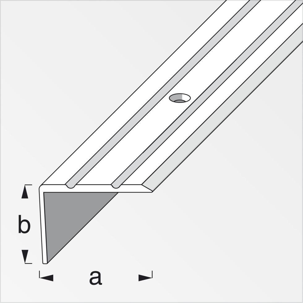 alfer Treppenkantenprofil alfer Treppenprofil 1 m, 25 x 20 mm Aluminium