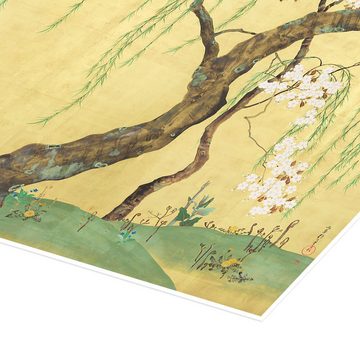 Posterlounge Poster Sakai Hōitsu, Kirsch- und Ahornbäume, Malerei