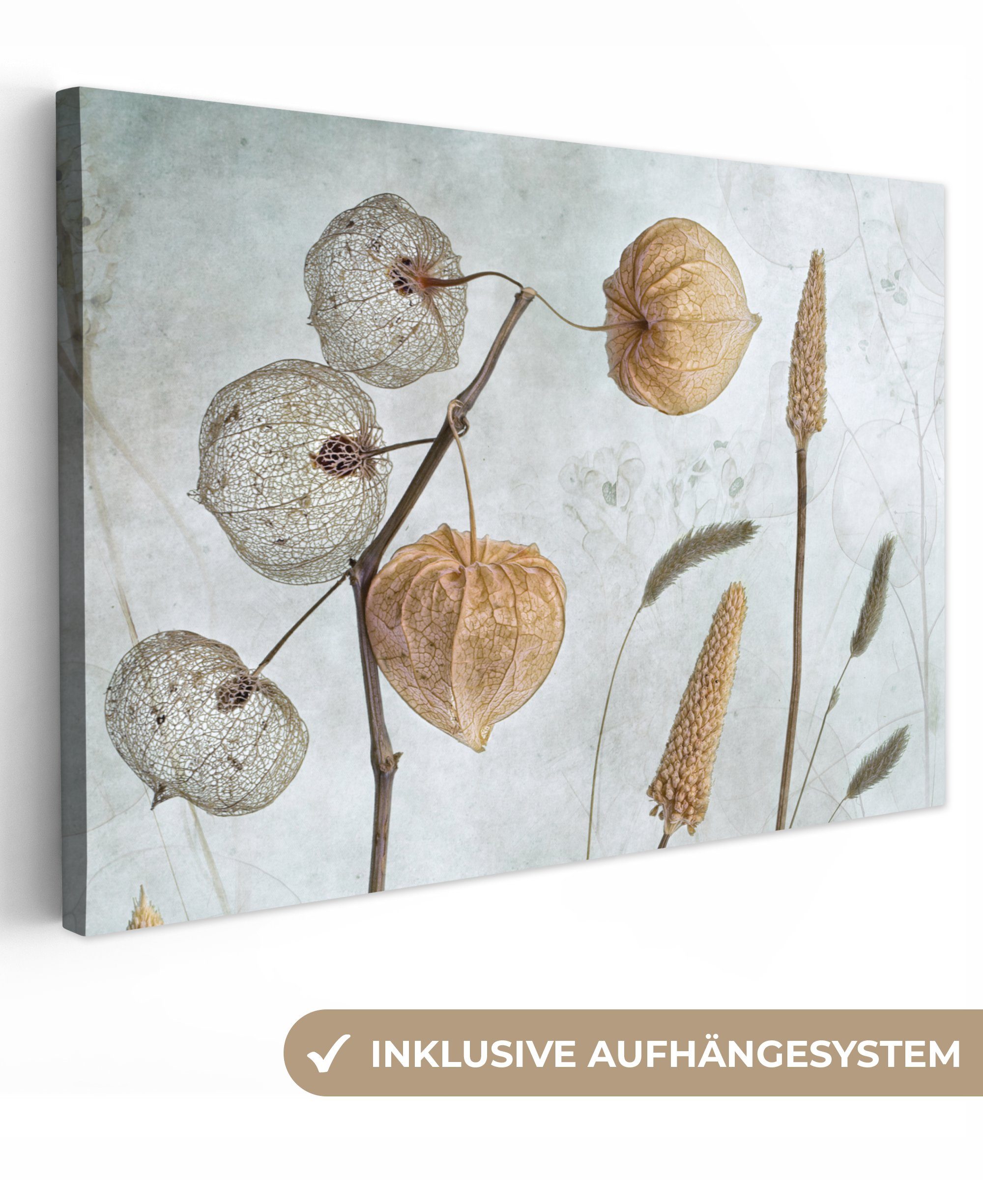 OneMillionCanvasses® Leinwandbild Stilleben - Natur - Herbst - Trockenblume günstig online kaufen