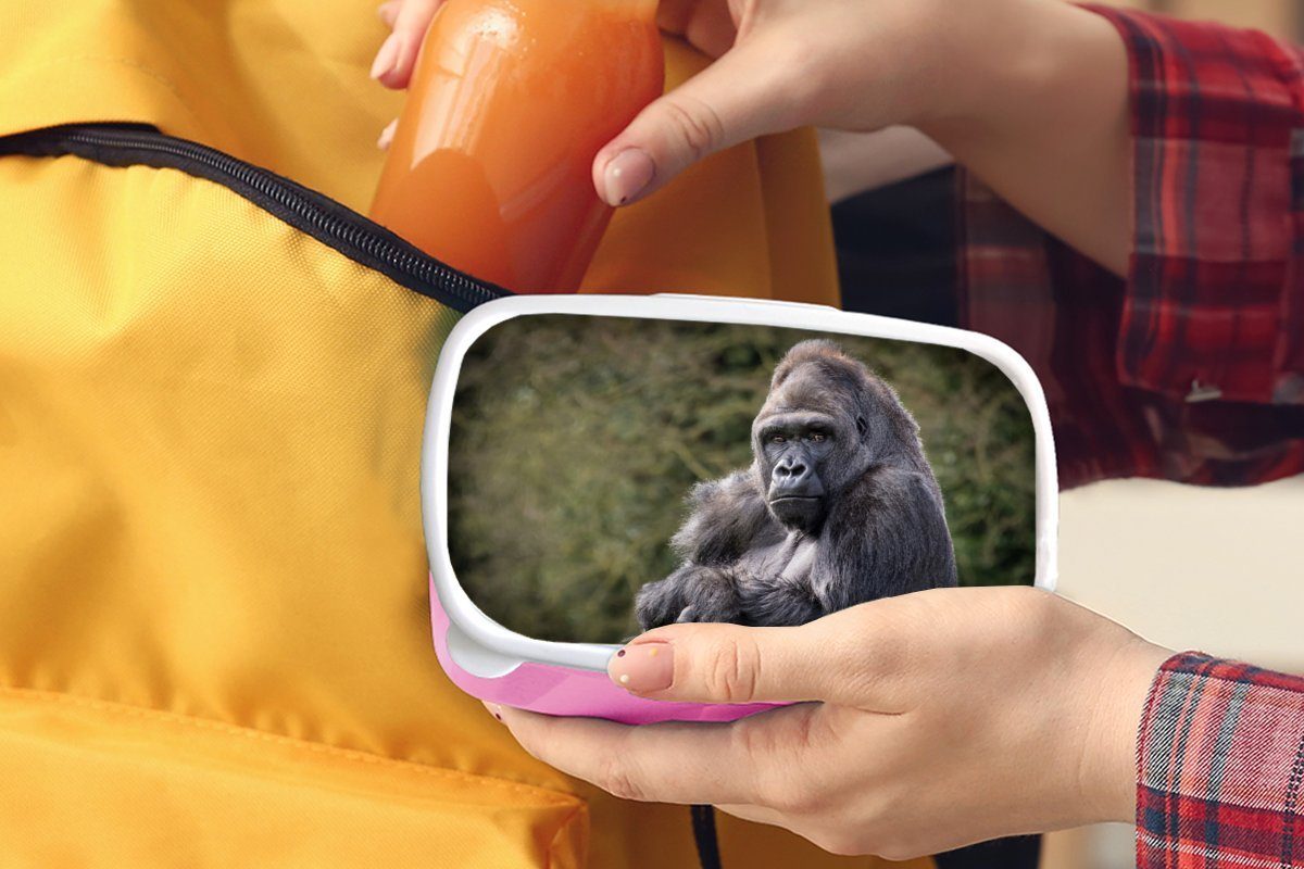 schaut Snackbox, die Kamera, Brotdose Gorilla direkt Großer MuchoWow für Kunststoff, Lunchbox in rosa Brotbox Mädchen, Erwachsene, Kinder, Kunststoff (2-tlg),