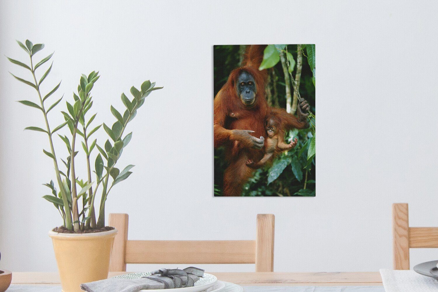 OneMillionCanvasses® auf Gemälde, Ein St), Zackenaufhänger, (1 inkl. 20x30 bespannt cm Baum, fertig Leinwandbild Leinwandbild einem roter Orang-Utan