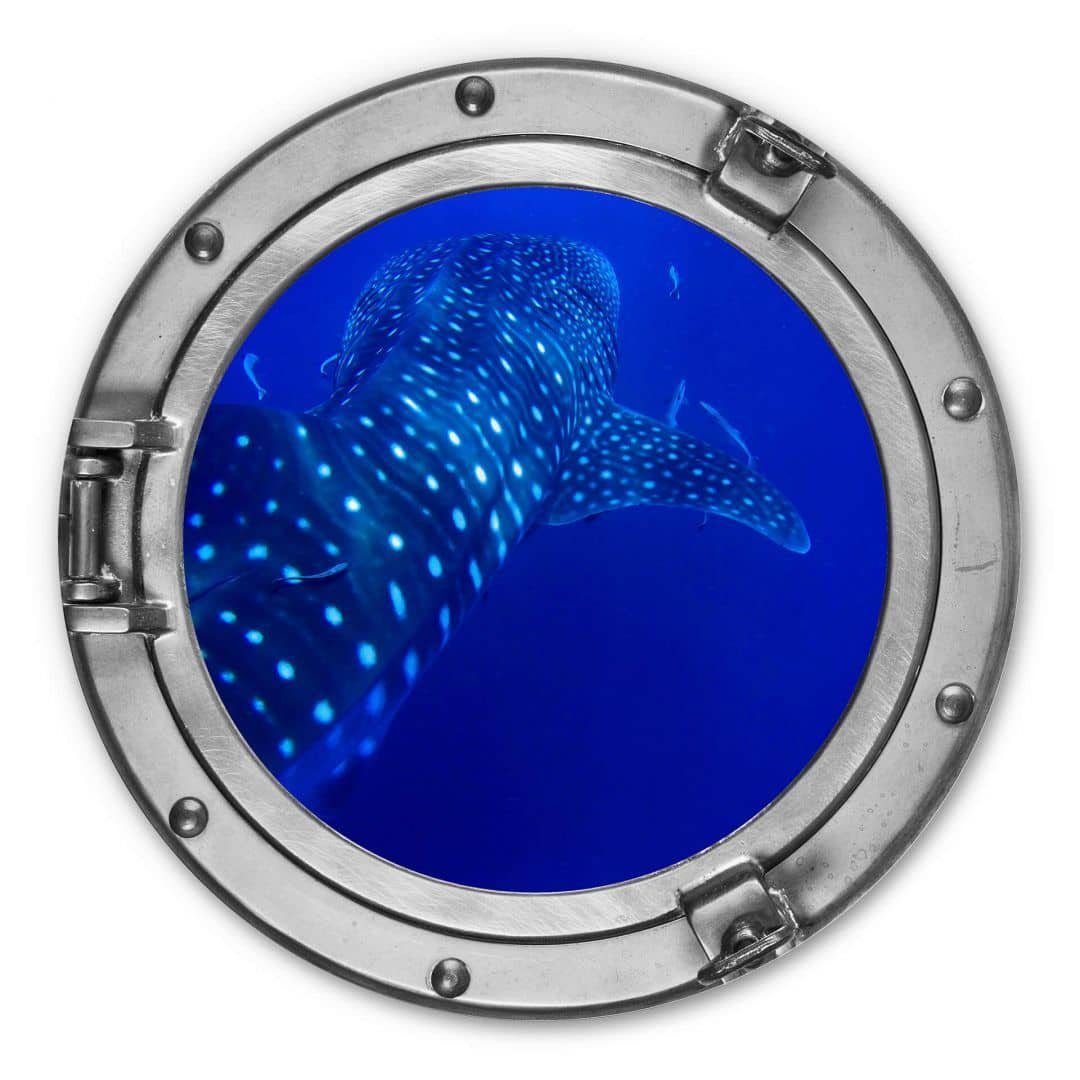 K&L Wall Art Alu-Dibond-Druck Meerestiere Metallbild auf See Wandbild Maritime Poster aus Metall, Rundes Bullauge maritime Metallbilder, Alu-Dibond Wandbild fürs Badezimmer Metallschild inkl. Wandhalterung