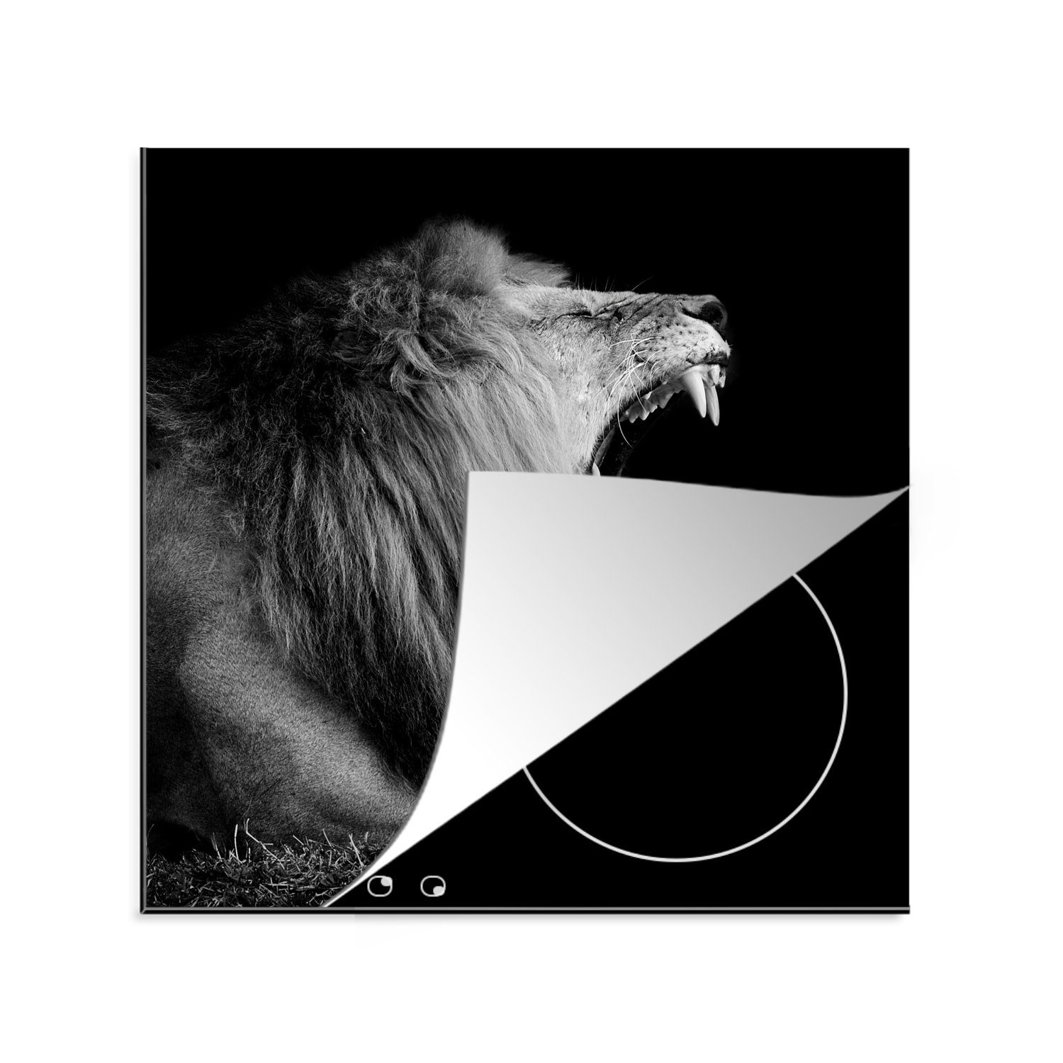 MuchoWow Herdblende-/Abdeckplatte Lion - Induktionsschutz - Schwarz und weiß - Induktionsmatte, Vinyl, (1 tlg), 78x78 cm, Ceranfeldabdeckung, Arbeitsplatte für küche