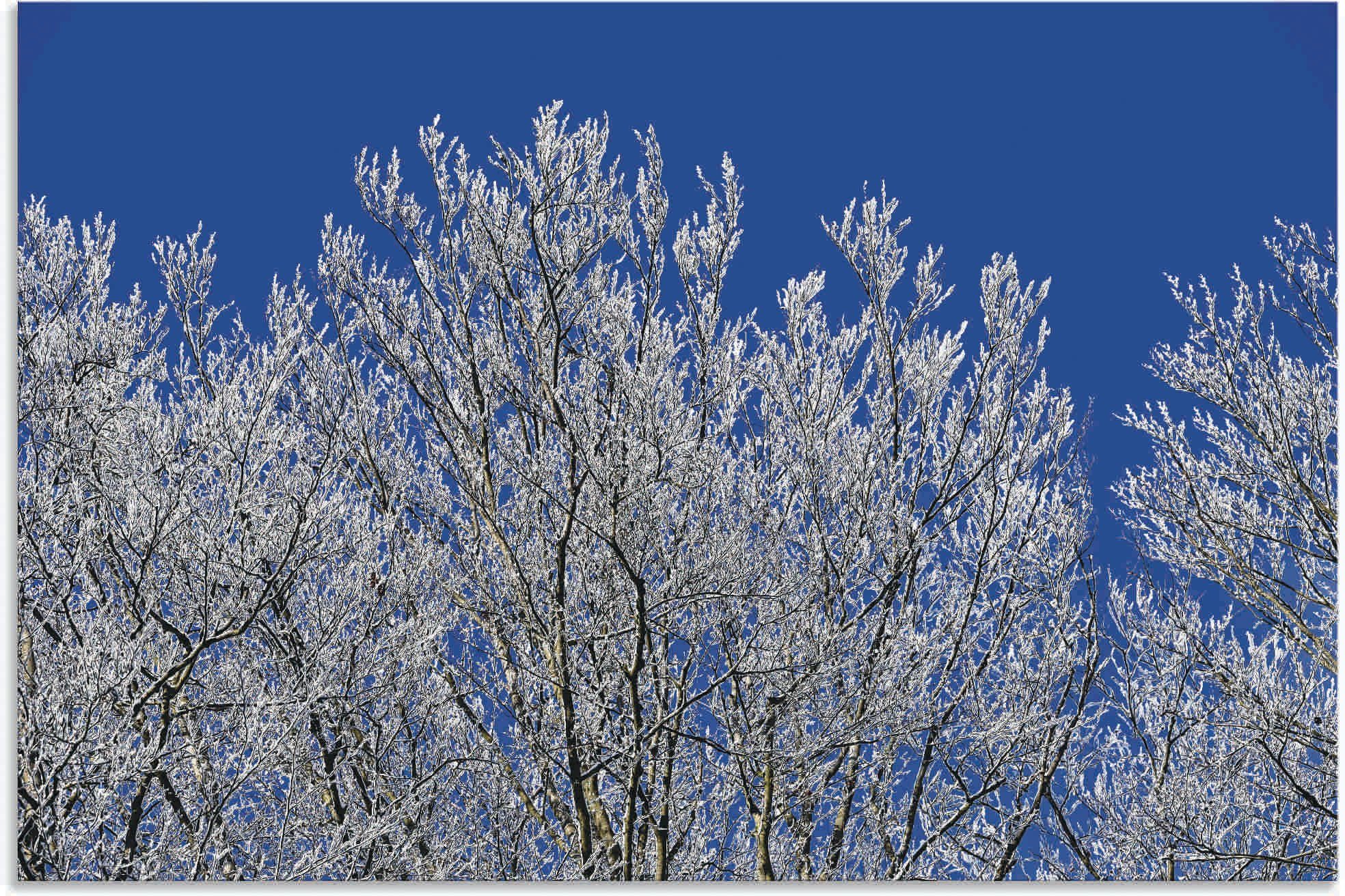 Wandbild Bilder Leinwandbild, Alubild, Vier Wandaufkleber Jahreszeiten in Bäume, Poster Schneebedeckte Größen versch. Artland (1 St), als oder