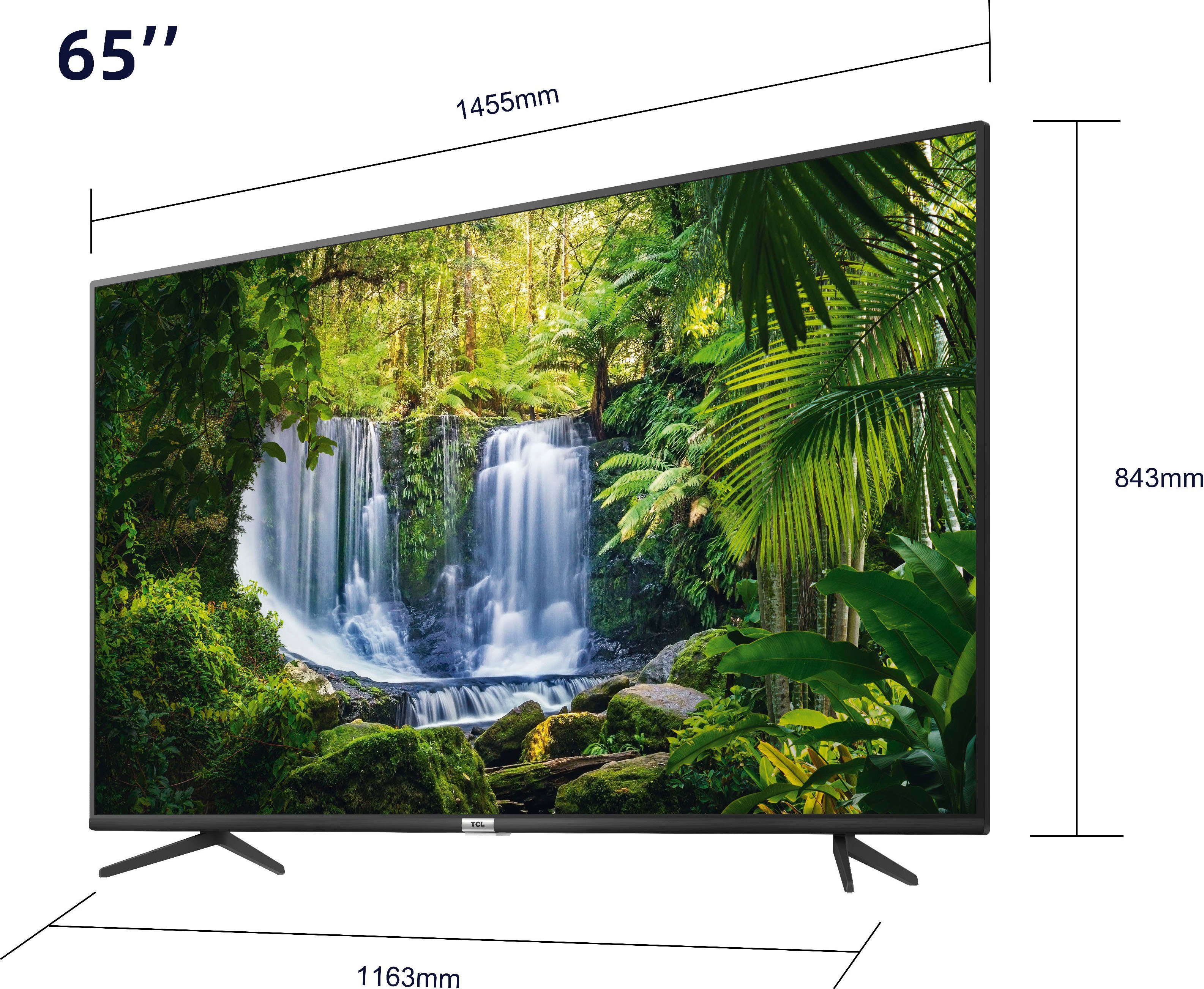 TCL 65P616X1 LED-Fernseher (164 cm/65 Zoll, 4K Ultra HD, Smart-TV, Android  9.0 Betriebssystem)