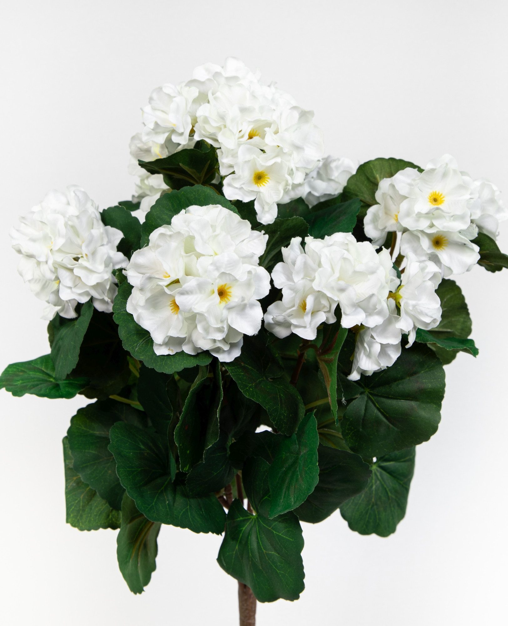 Kunstblume Künstliche Geranie ZF Kunstpflanzen künstliche Blumen Pflanzen Pelargonium, Seidenblumen Roß, Höhe 38 cm, Weiß