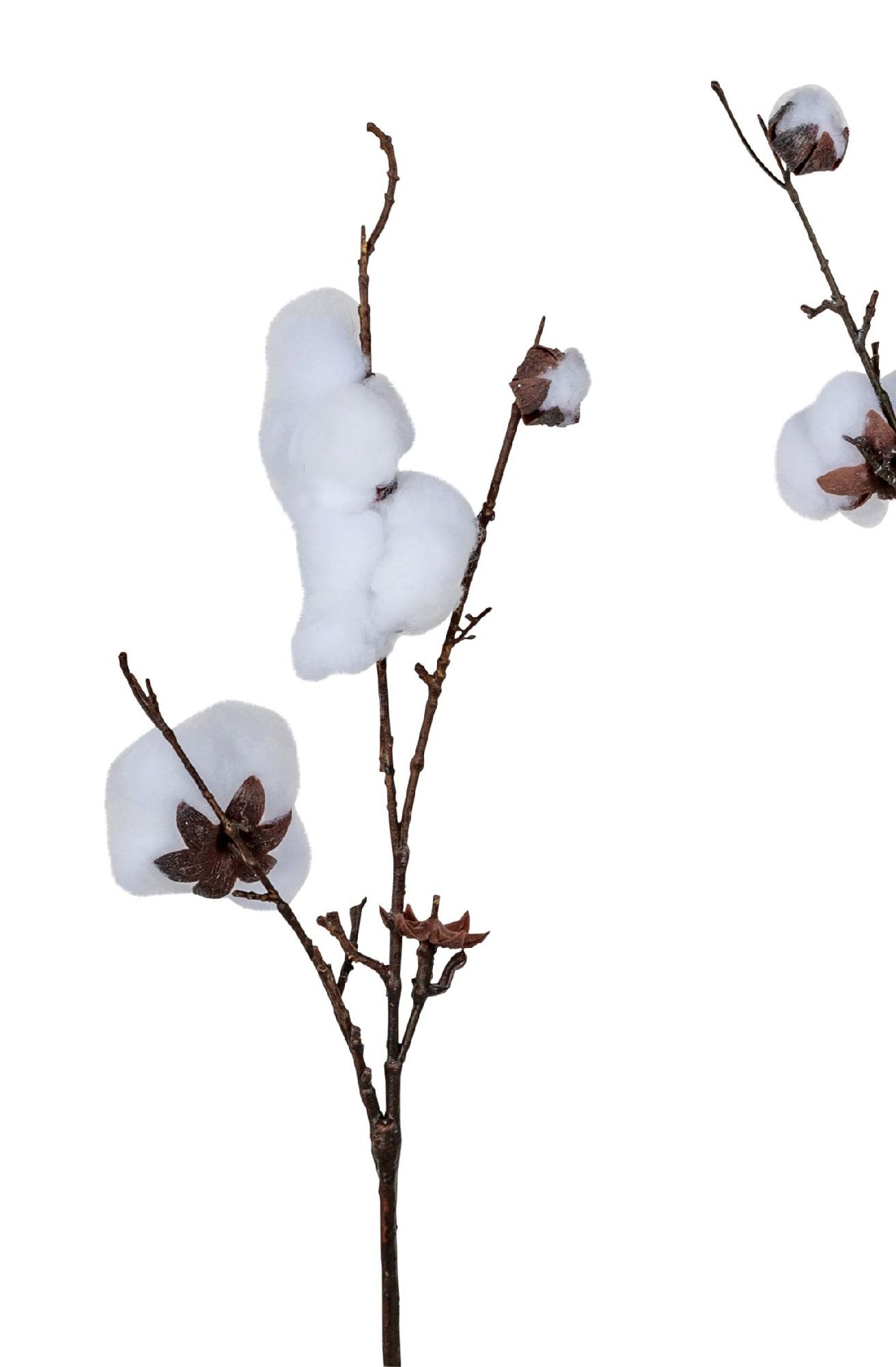 Kunstblume Winterzeit, formano, Höhe 60 cm, Höhe: 60cm, Farbe: Weiß, Motiv: Baumwolle