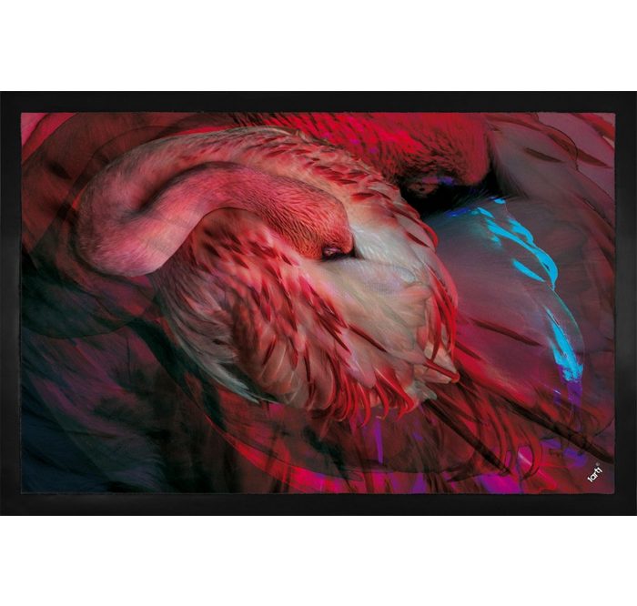 Fußmatte Flamingos - Flamingo In Phoenix-Rot 1art1 Höhe: 5 mm