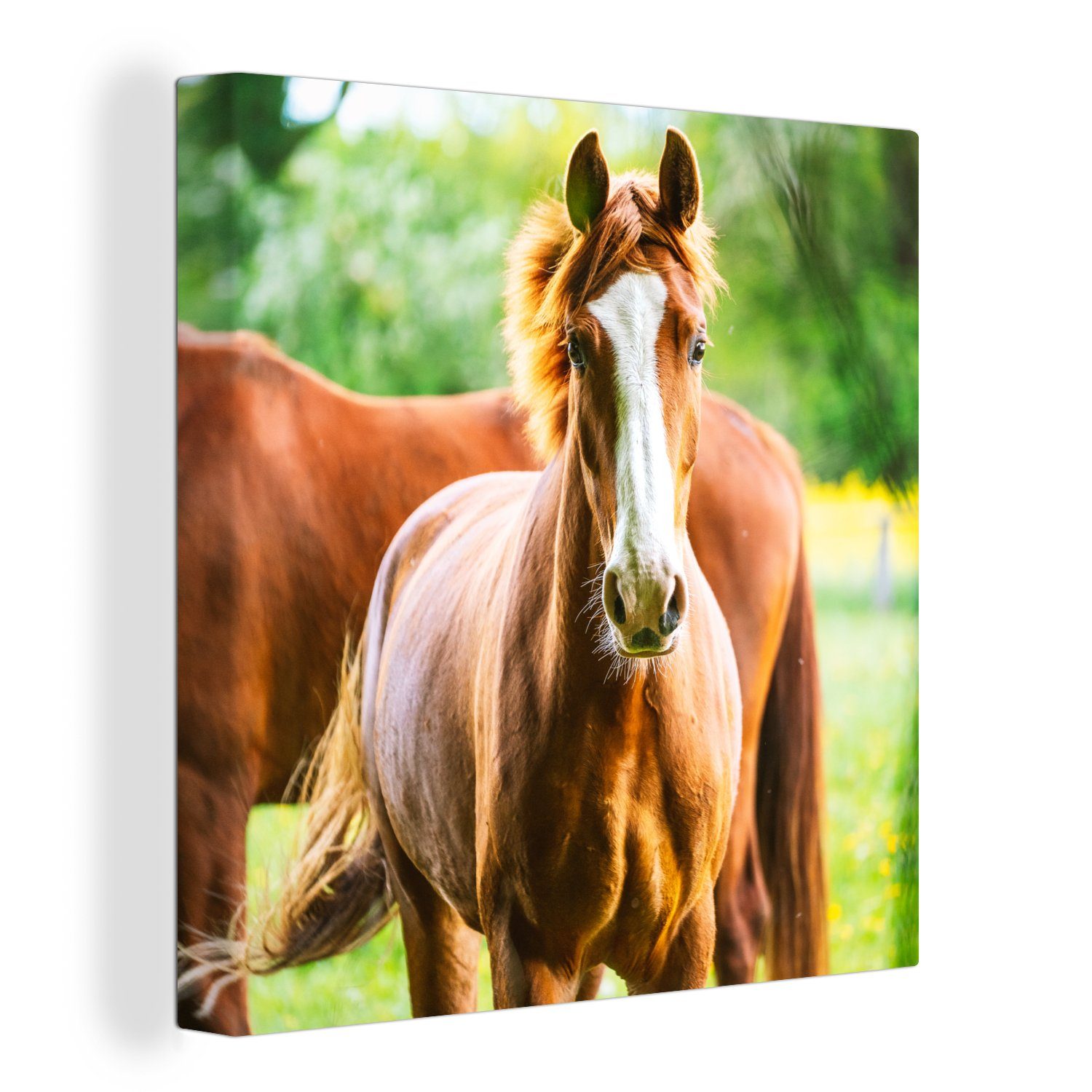 OneMillionCanvasses® Leinwandbild Pferde - Licht - Wiese, (1 St), Leinwand Bilder für Wohnzimmer Schlafzimmer