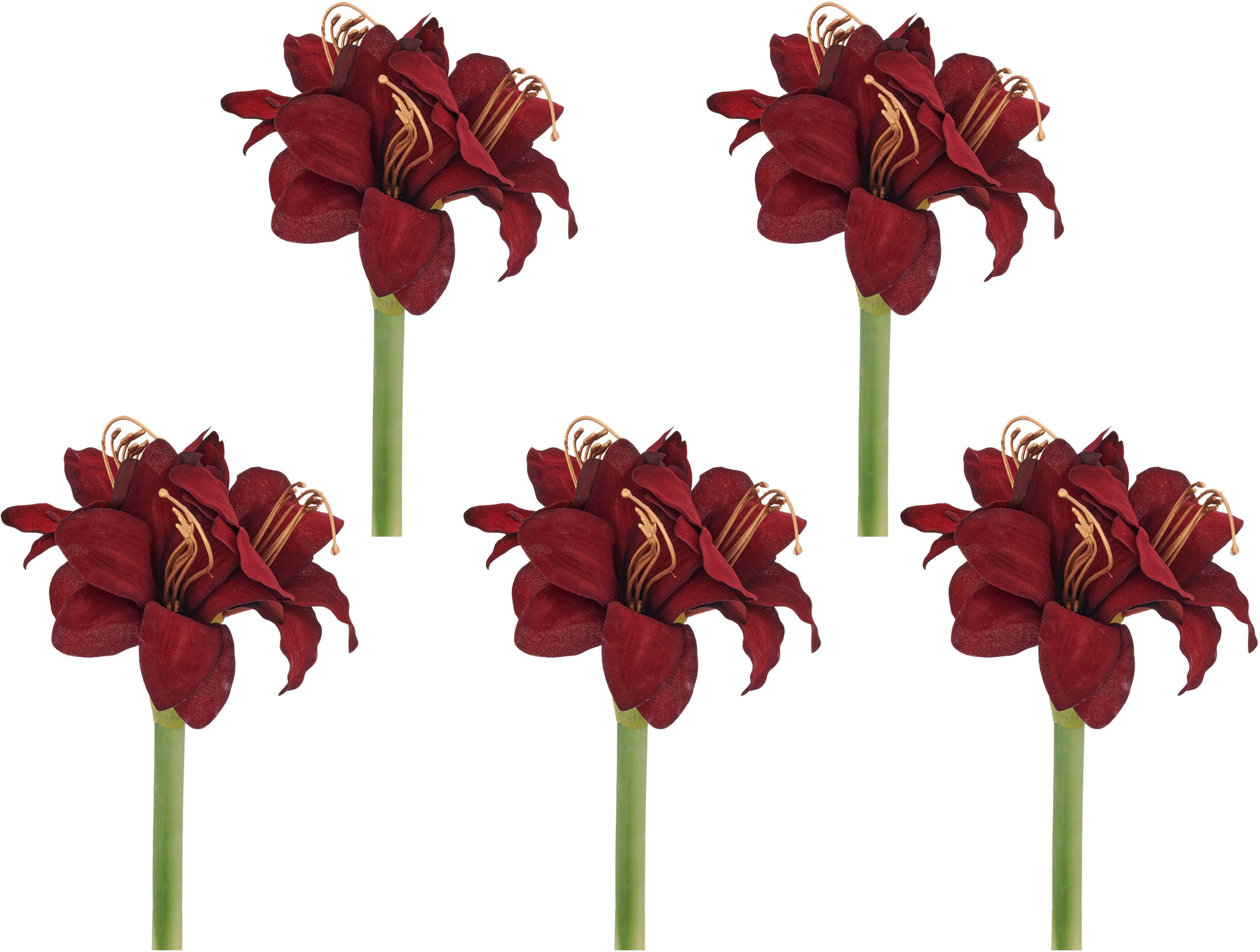 Kunstblume Amaryllis, Creativ green, Höhe 31 cm, mit üppiger Blütenpracht