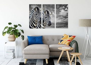 Pixxprint Leinwandbild zwei Zebras, zwei Zebras 3Teiler (120x80cm) (1 St), Leinwandbild fertig bespannt, inkl. Zackenaufhänger
