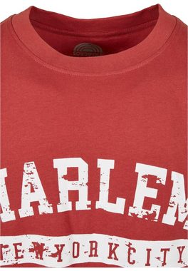 Southpole T-Shirt Southpole Herren Southpole Harlem Tee (1-tlg)