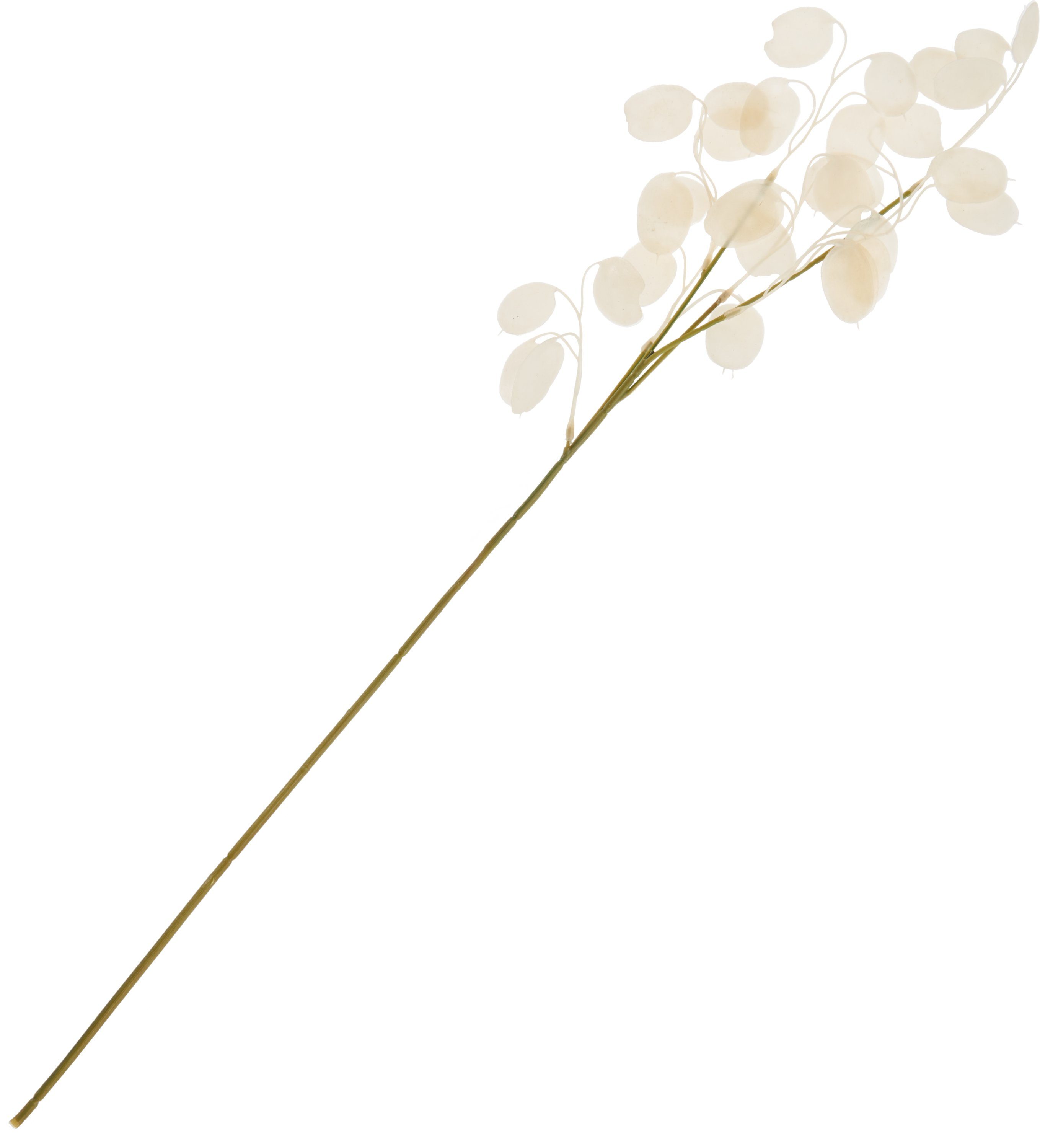 Kunstzweig Lunaria Zweig