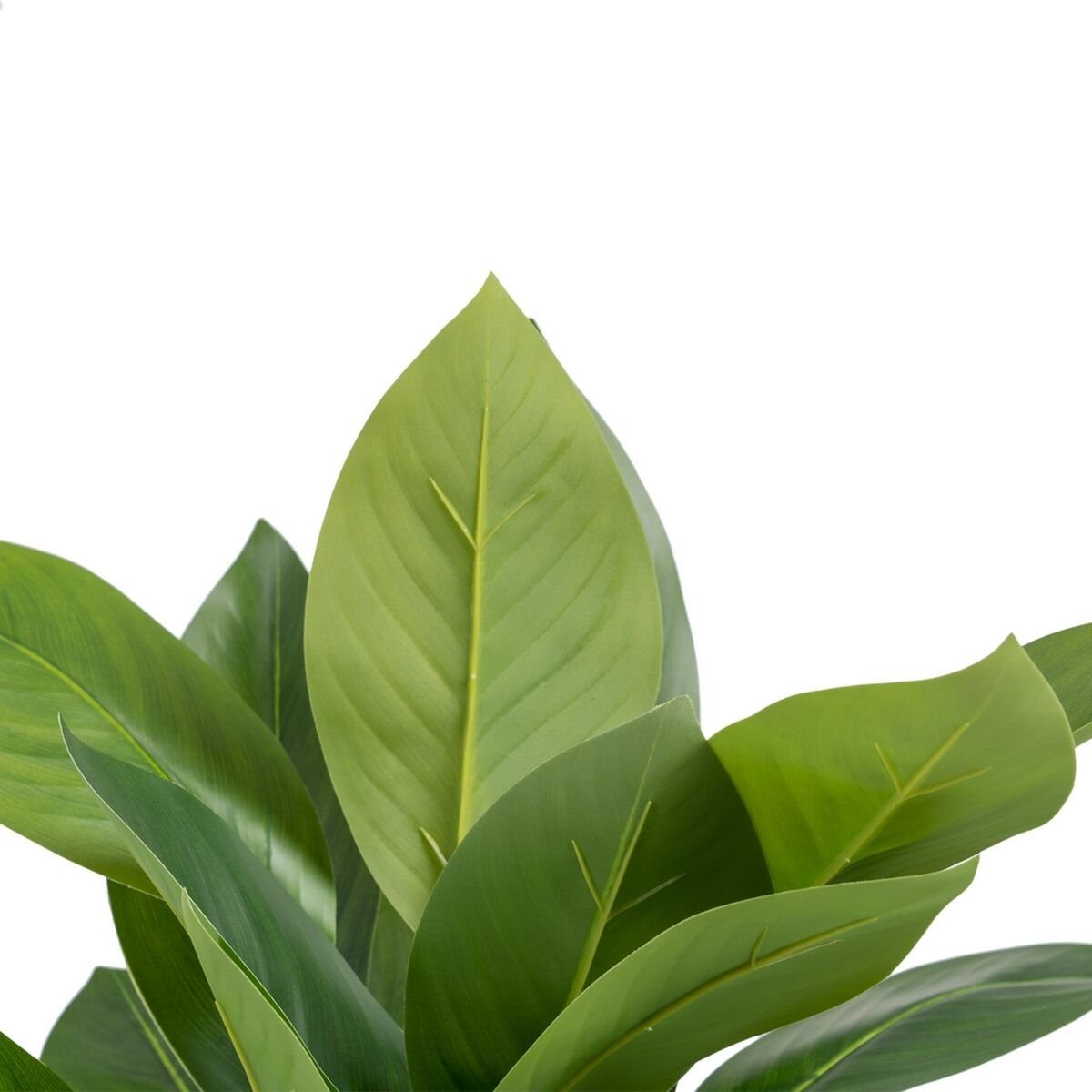 Zimmerpflanze cm PVC, grün 50 Höhe 45 Künstliche 50 Dekorationspflanze Bigbuy, 48 cm x x