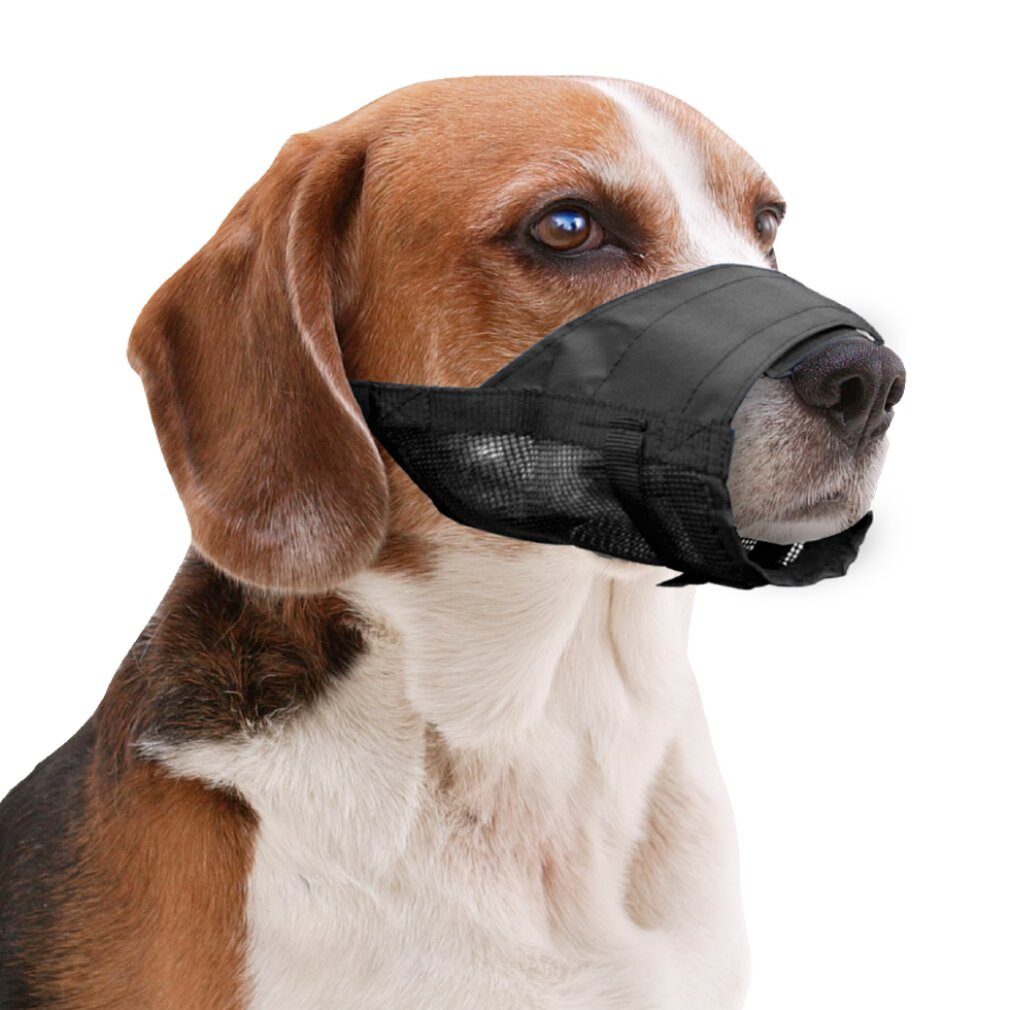 Thumbnail - Pawise Maulkorb Muzzle Adjustable S