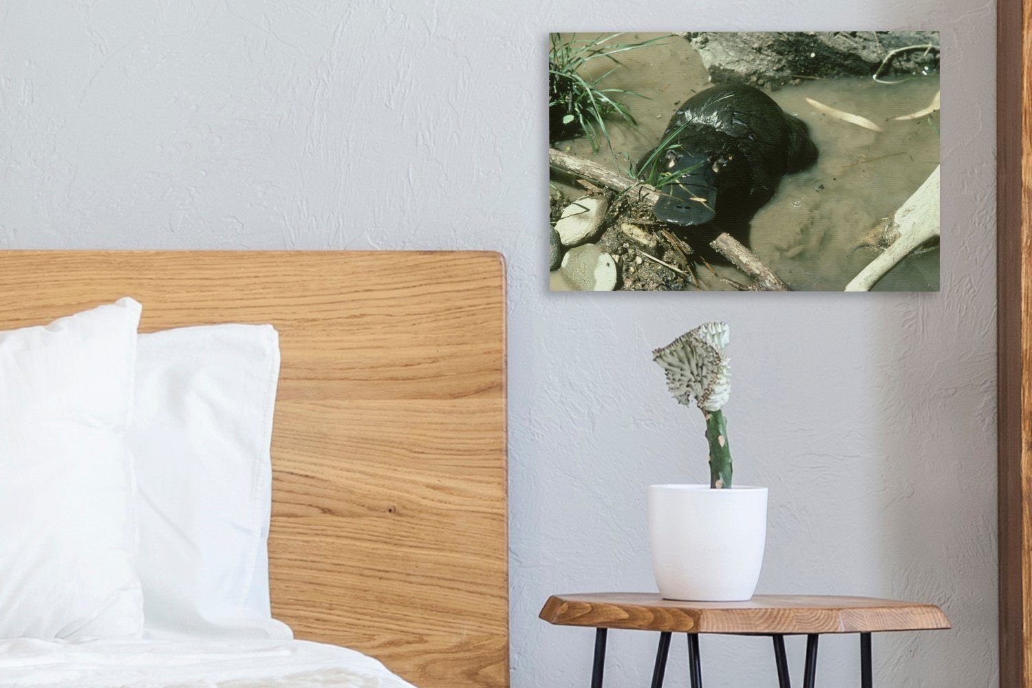 Wasser, - 30x20 Wandbild - cm OneMillionCanvasses® Schnabeltier Leinwandbilder, (1 Leinwandbild St), Wanddeko, Aufhängefertig, Sand