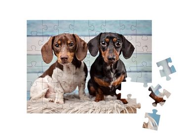 puzzleYOU Puzzle Porträt von zwei Dackeln auf blauem Hintergrund, 48 Puzzleteile, puzzleYOU-Kollektionen Hunde, Dackel, 100 Teile