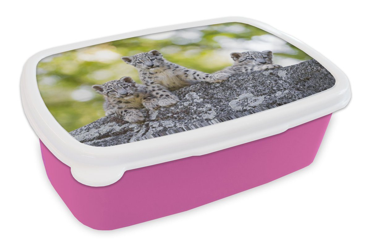 MuchoWow Lunchbox Leopard - Jungtiere - Steine, Kunststoff, (2-tlg), Brotbox für Erwachsene, Brotdose Kinder, Snackbox, Mädchen, Kunststoff rosa