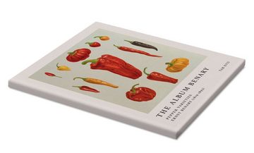 Posterlounge Leinwandbild Ernst Benary, The Album Benary - Pepper Varieties, Küche Vintage Illustration