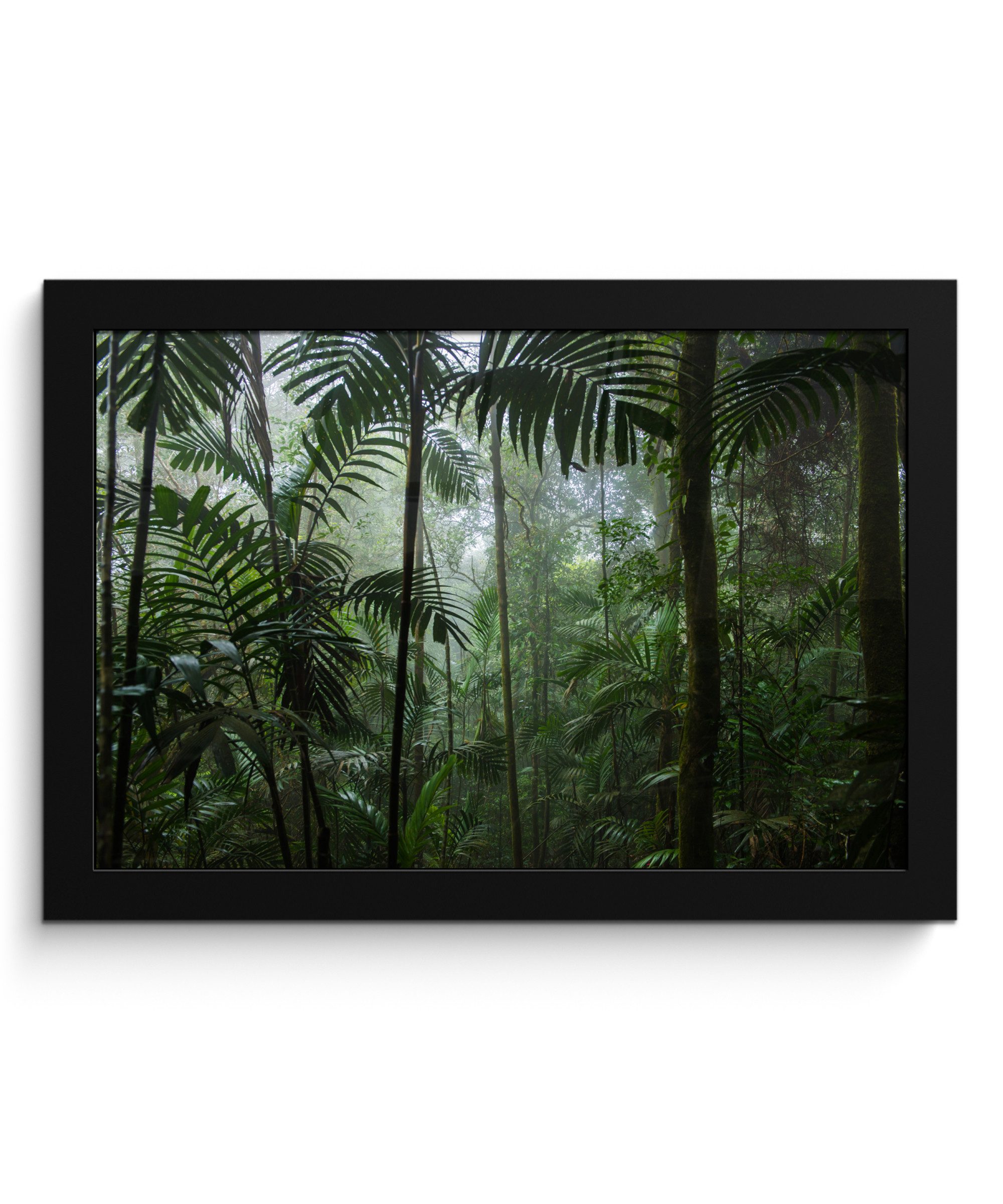 Poster Regenwald - Tropisch - Dschungel - Bäume - Pflanzen