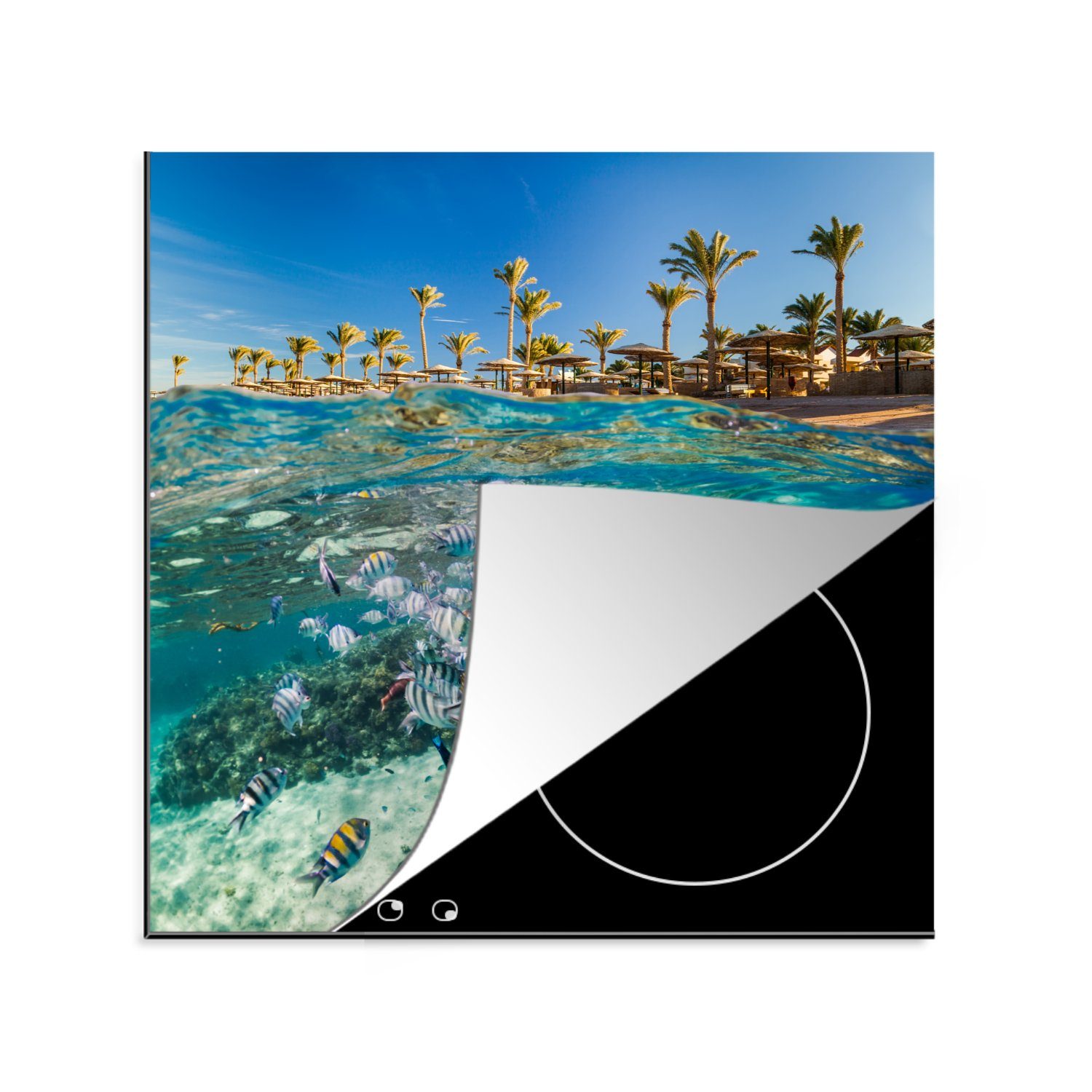MuchoWow Herdblende-/Abdeckplatte Meer - Fisch - Ägypten, Vinyl, (1 tlg), 78x78 cm, Ceranfeldabdeckung, Arbeitsplatte für küche