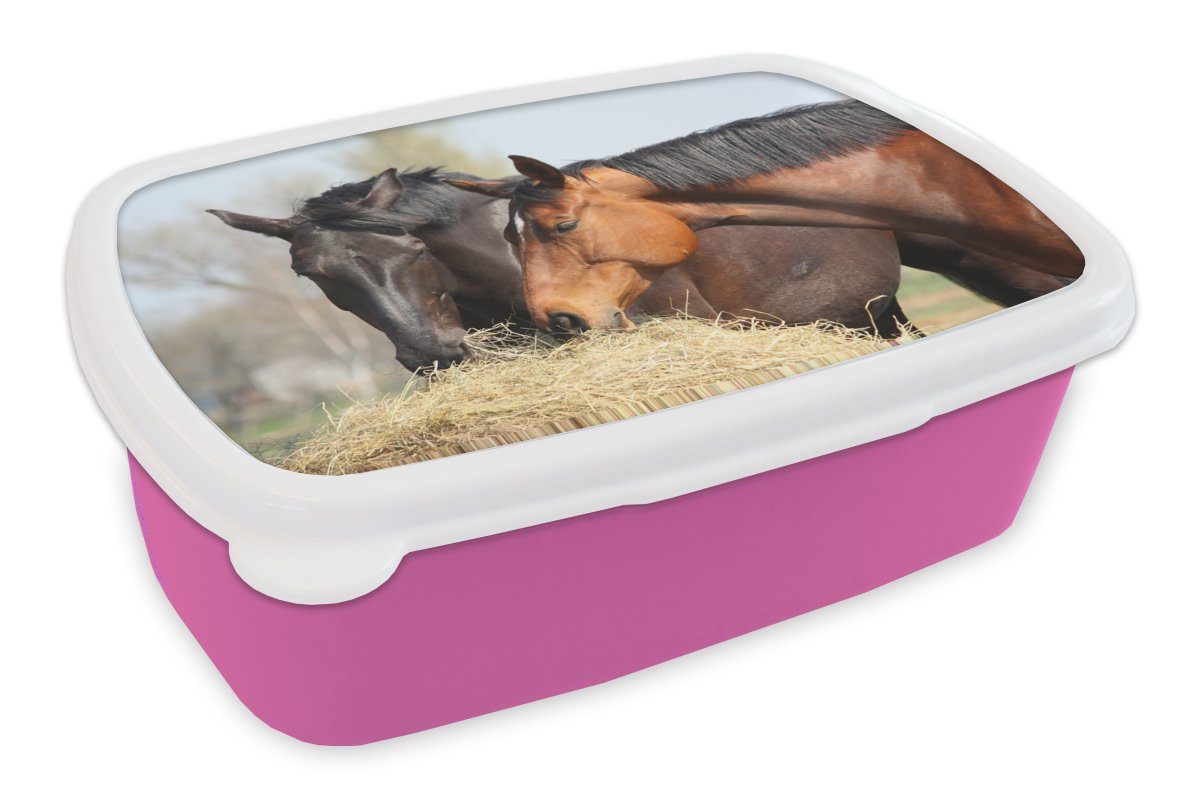 Snackbox, Mädchen, Tiere, rosa - Kinder, für Kunststoff, Kunststoff MuchoWow Lunchbox Erwachsene, (2-tlg), Brotdose Pferde Heu Brotbox -