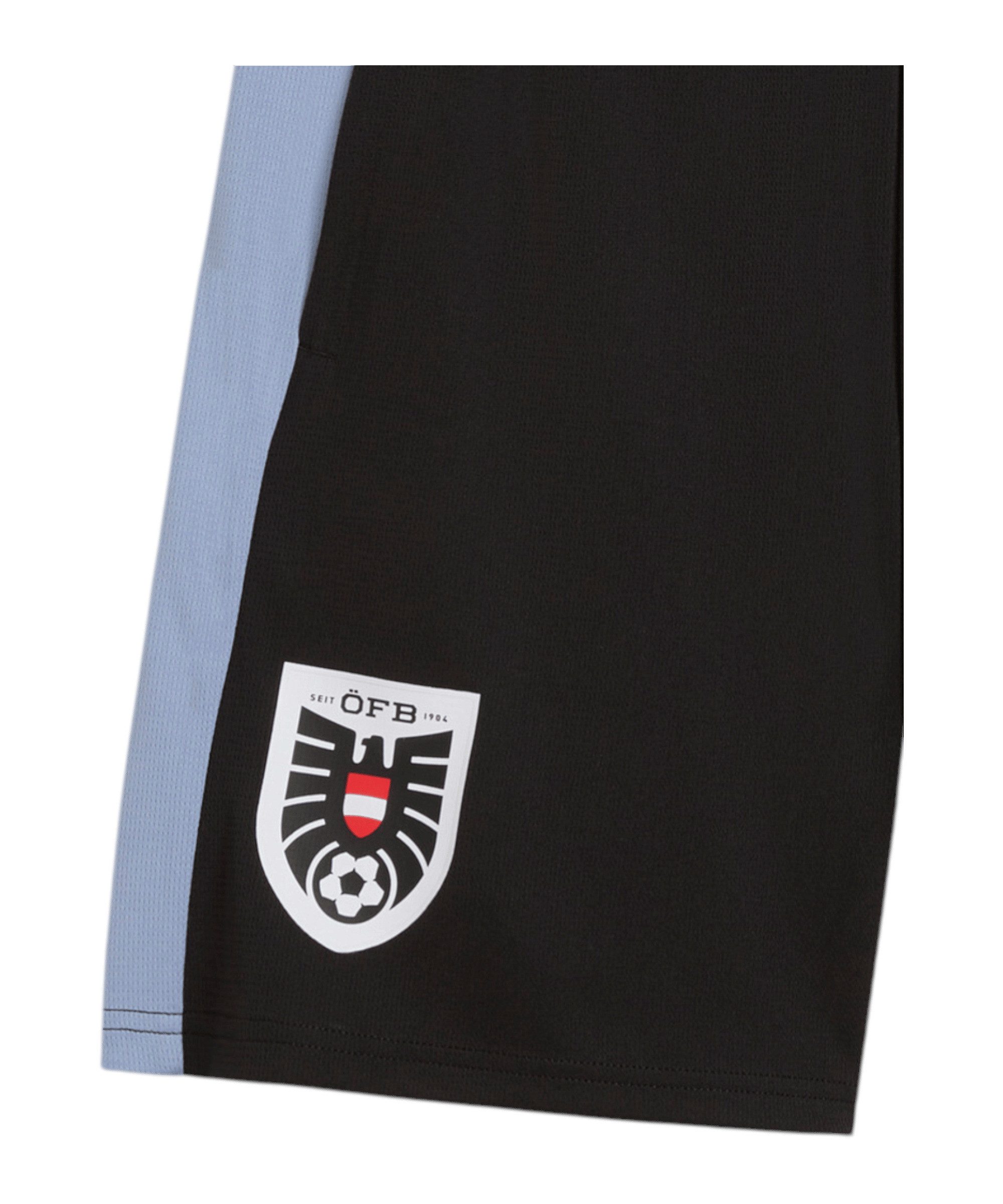 PUMA Sporthose PUMA ÖFB Österreich Training Short Shorts Herren