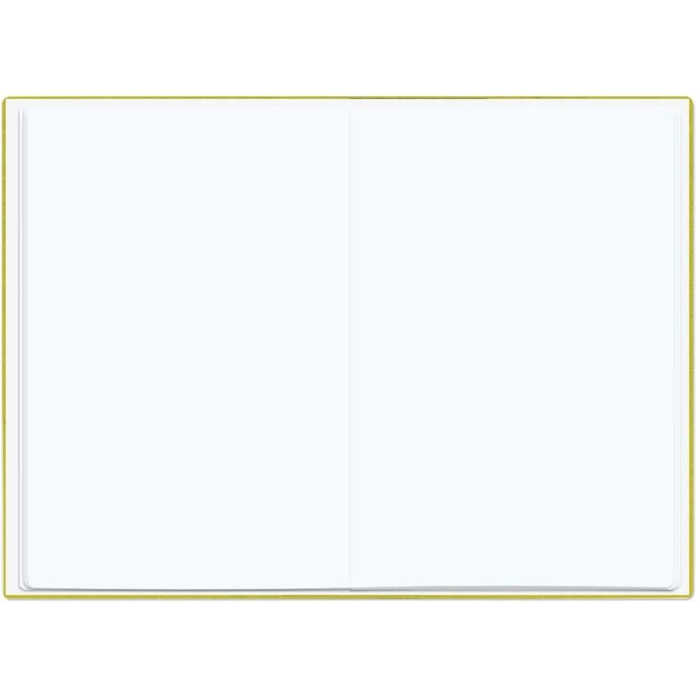 Roth Organisationsmappe Zeugnismappe A4 Metallium Gold