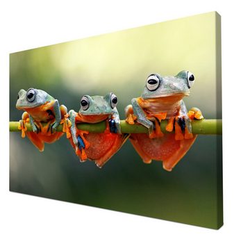 wandmotiv24 Leinwandbild Frosch, Frösche, Zweig, grün, orange, Tiere (1 St), Wandbild, Wanddeko, Leinwandbilder in versch. Größen