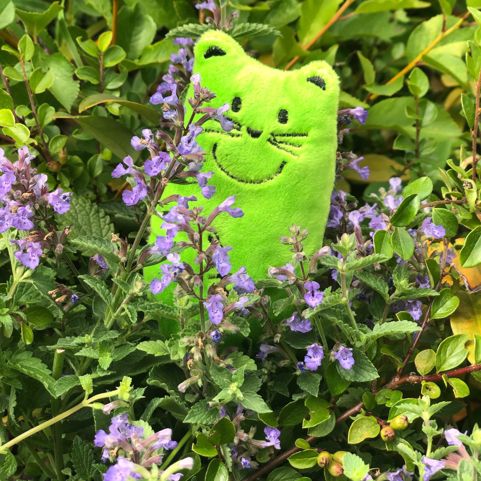 Aumüller Tierkuscheltier Frische Katzenminze zum Befüllen von Katzenspielzeug, 10 g