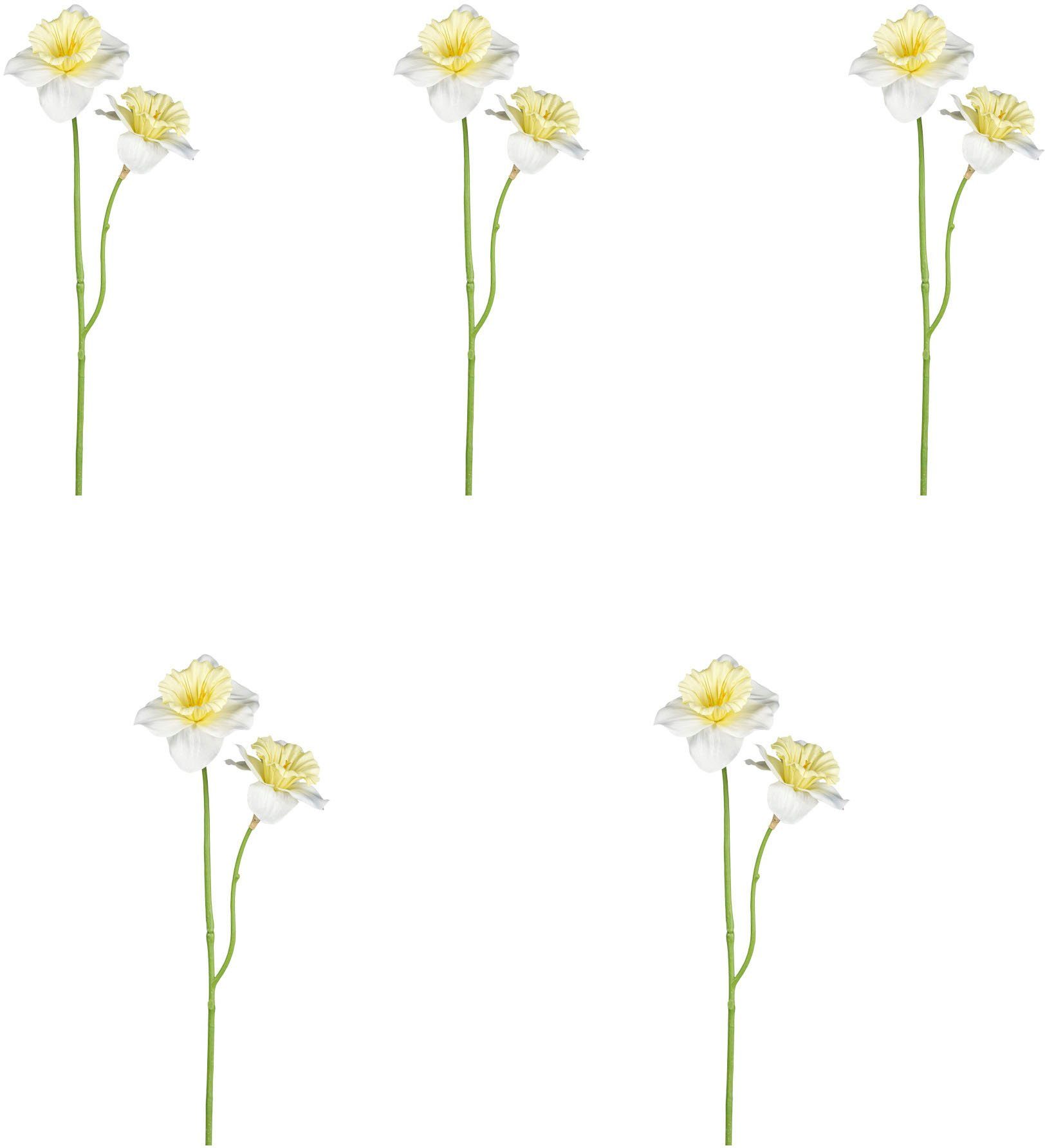 Kunstblume Narzissen Narzisse, Creativ green, Höhe 56 cm, Langlebig,  vielseitig verwendbar und pflegeleicht