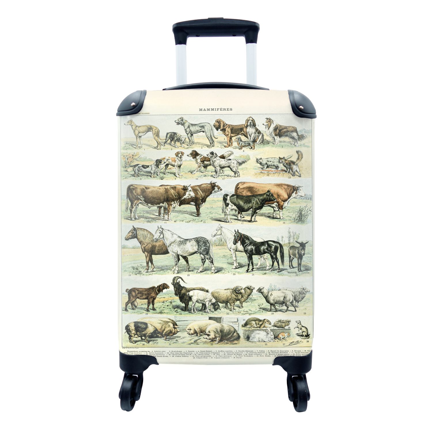 MuchoWow Handgepäckkoffer Tiere - Pferde - Illustration - Vintage - Adolphe Millot, 4 Rollen, Reisetasche mit rollen, Handgepäck für Ferien, Trolley, Reisekoffer