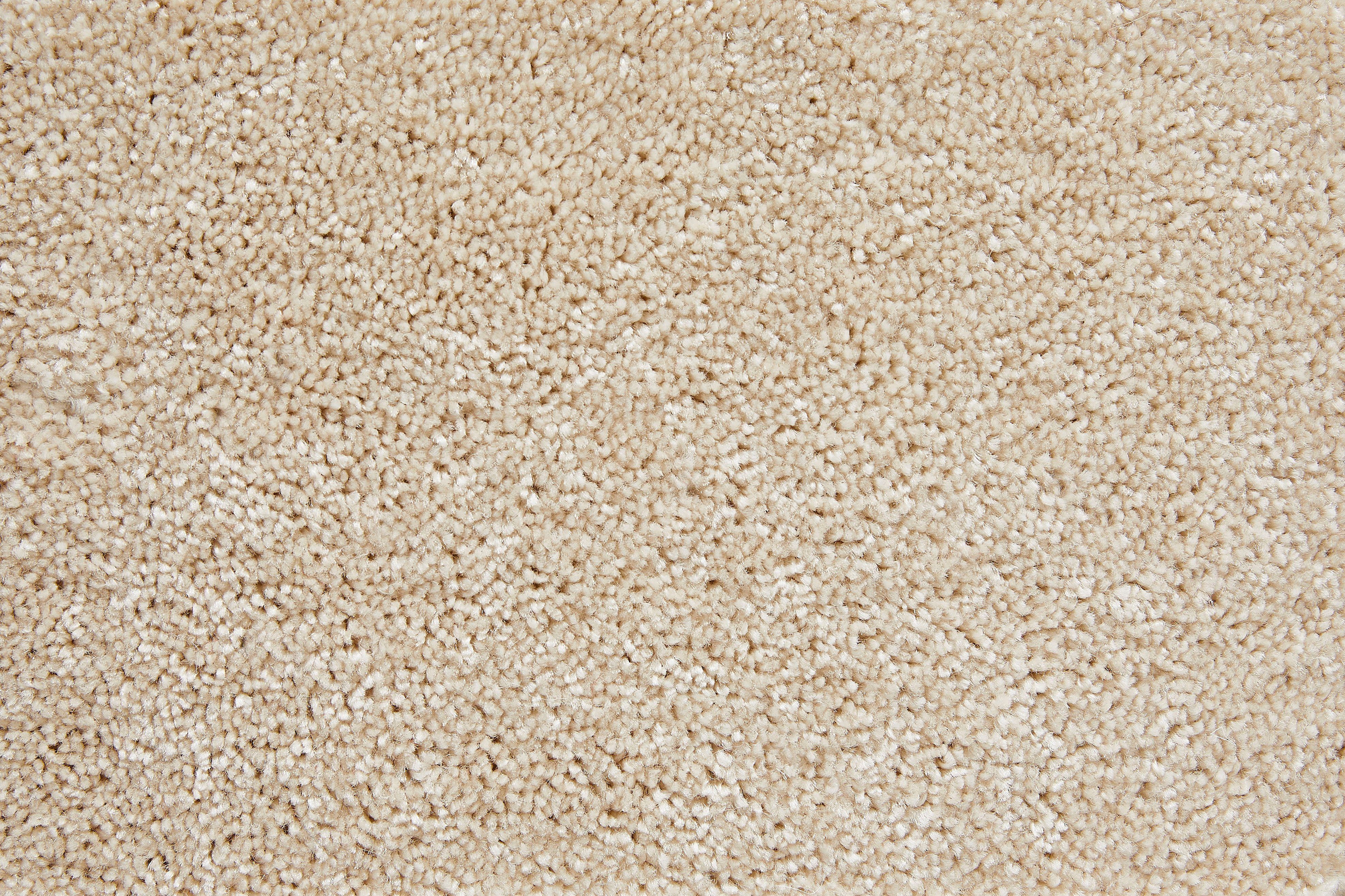 Teppichboden Coupon Frisee-Velours Rennes, Andiamo, rechteckig, Höhe: 14 mm, Uni Farben, Breite 400 cm oder 500 cm, strapazierfähig, pflegeleicht weiß