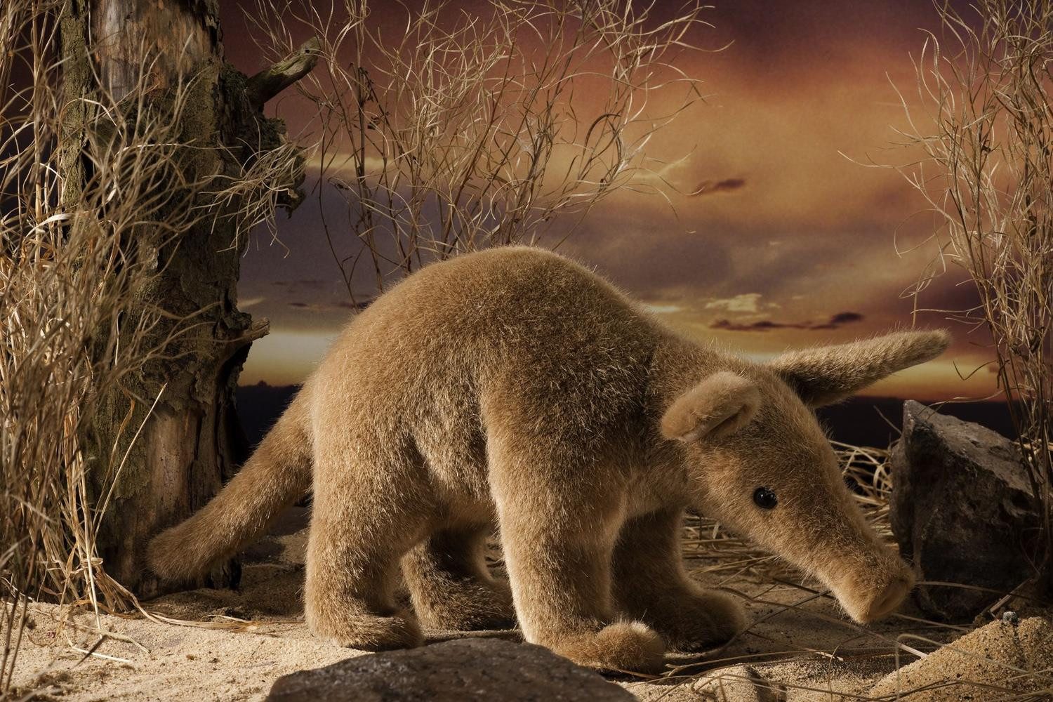 Kösen Kuscheltier Kösen Erdferkel 35 cm sand Kuscheltier